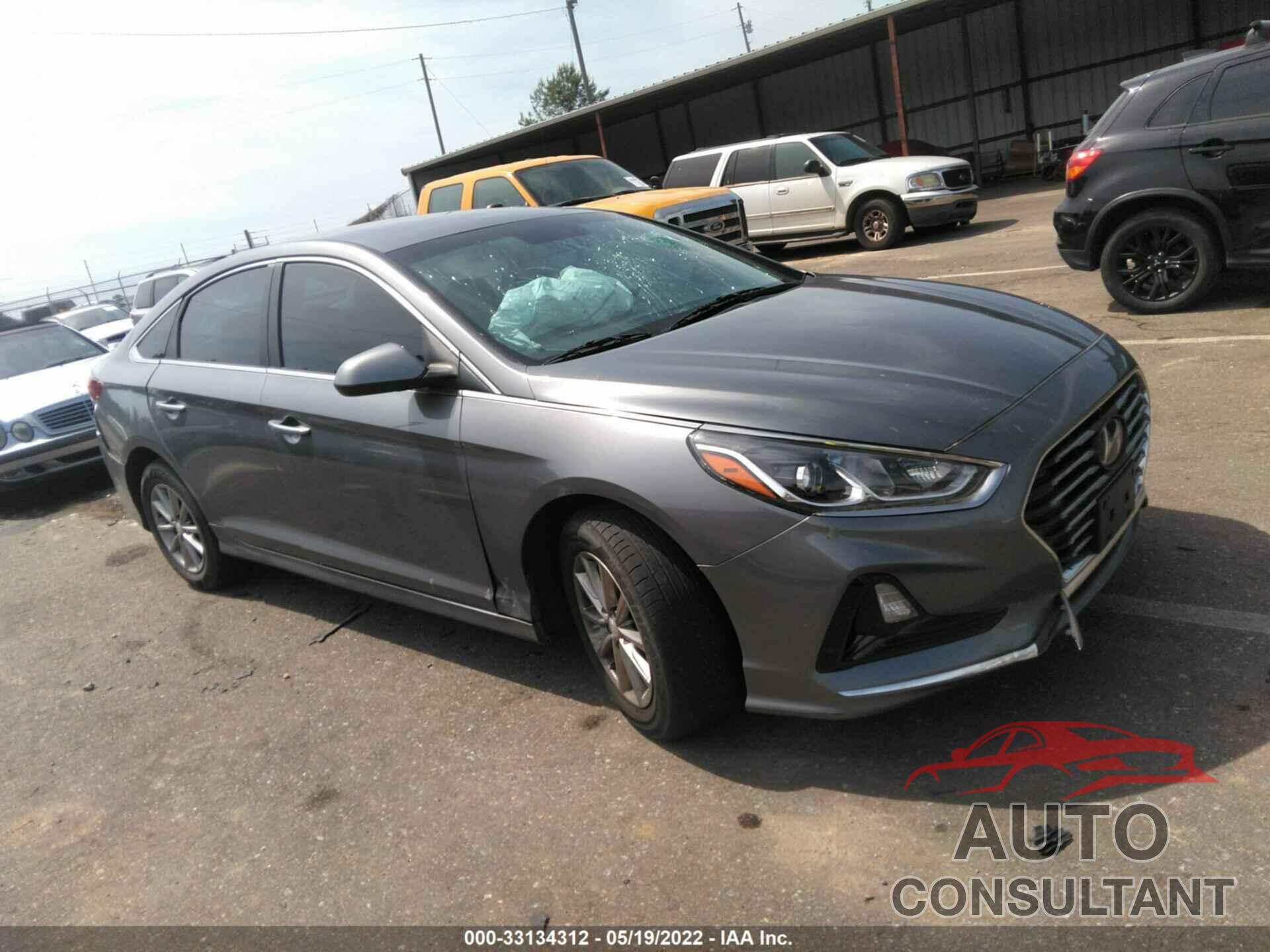 HYUNDAI SONATA 2019 - 5NPE24AF4KH774722