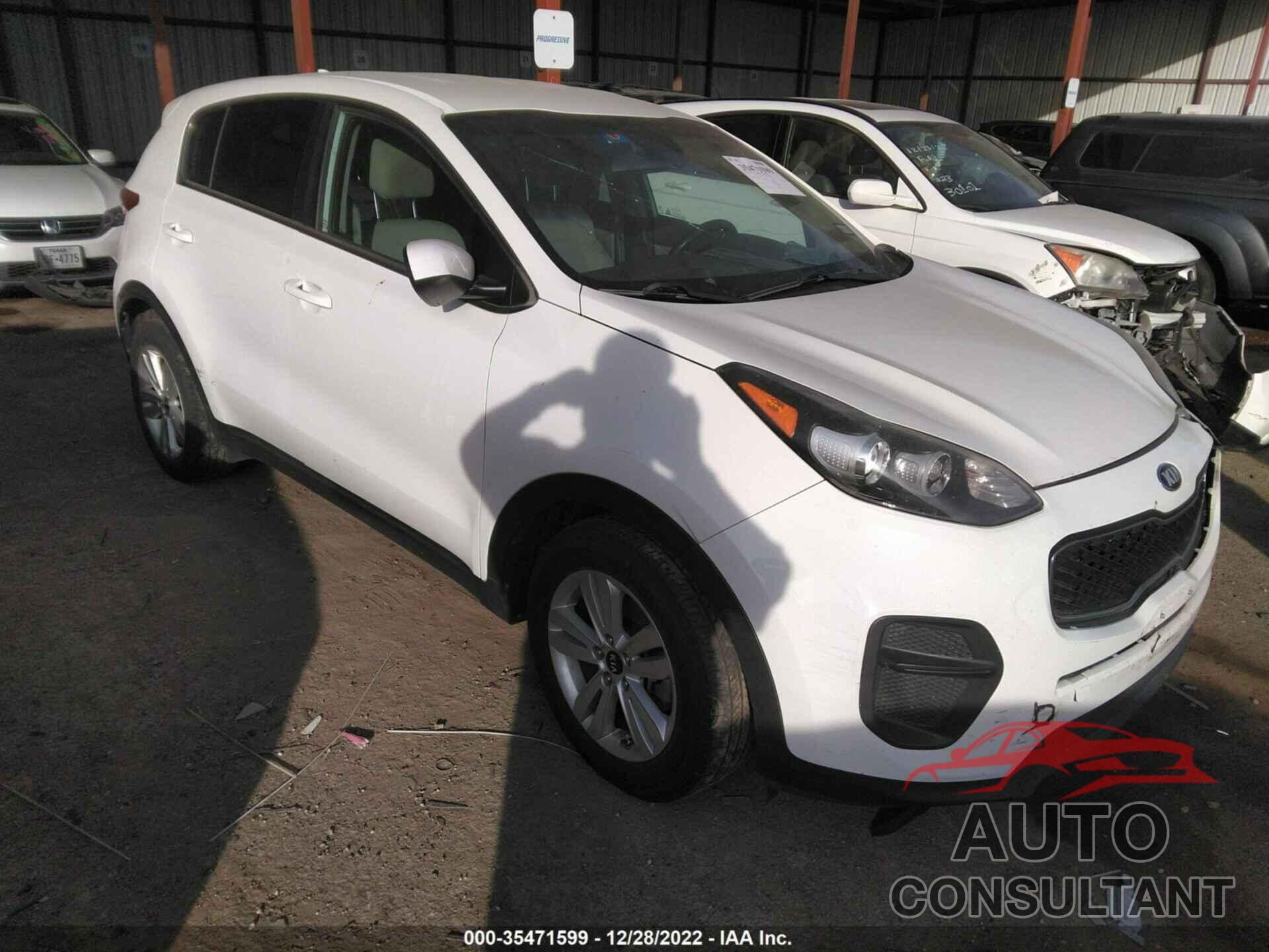 KIA SPORTAGE 2017 - KNDPM3AC8H7142967