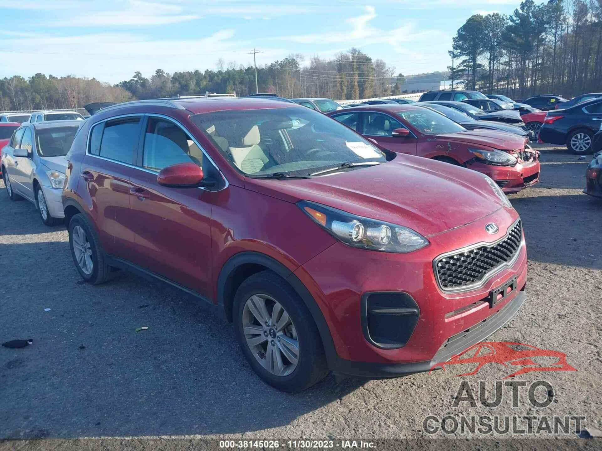 KIA SPORTAGE 2017 - KNDPM3AC6H7232618