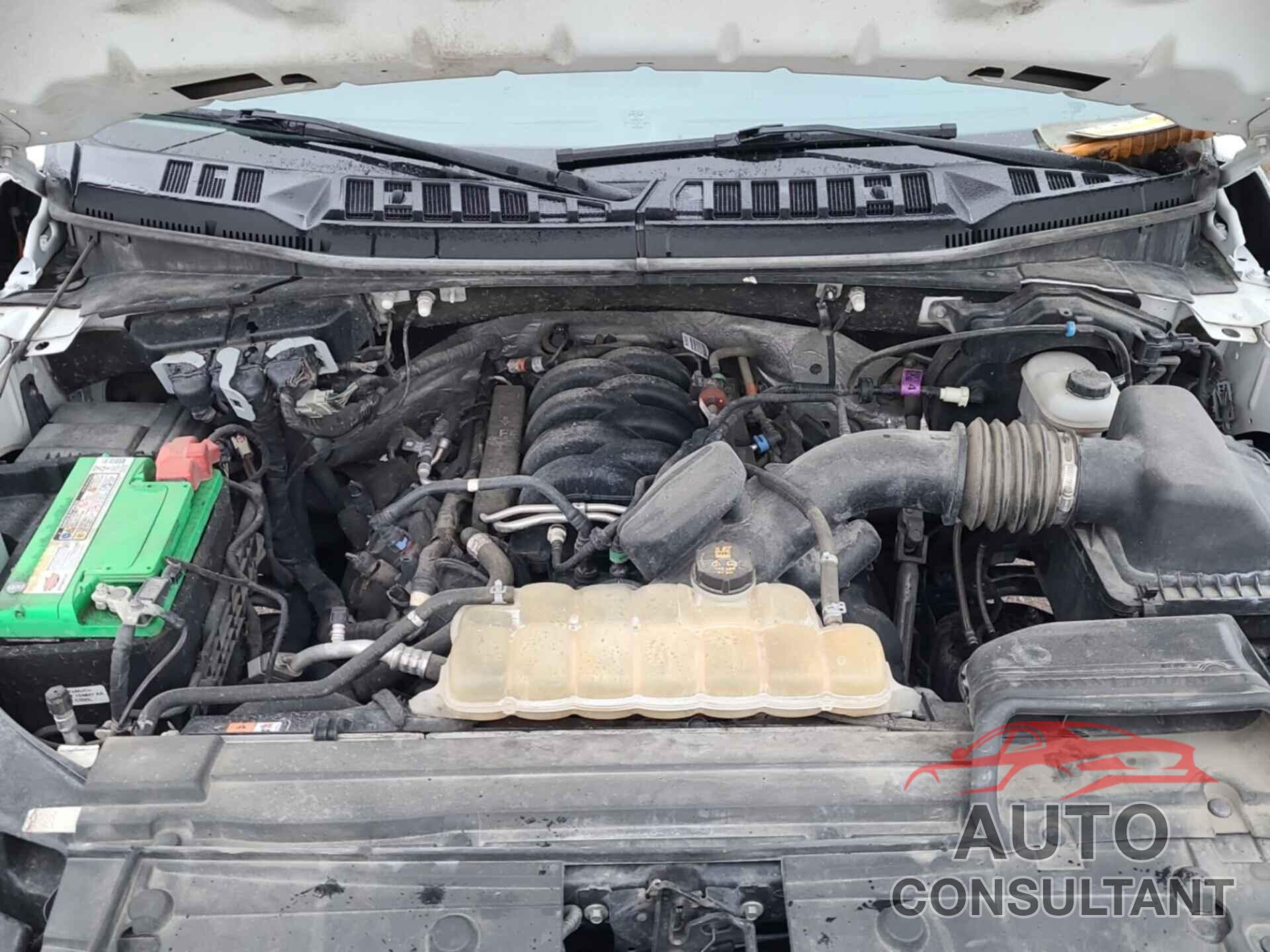 FORD F-150 2019 - 1FTEX1E55KKE63092