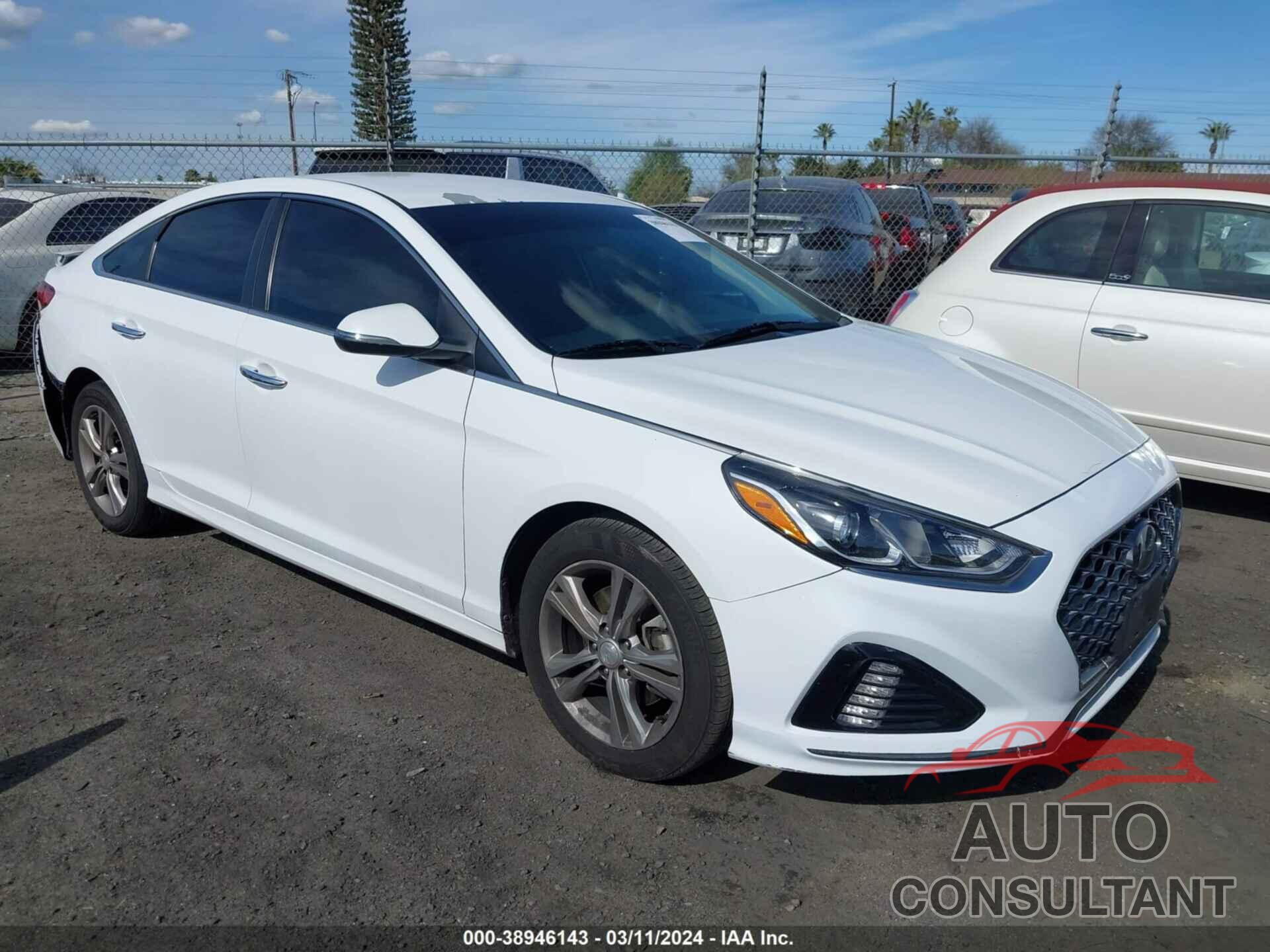HYUNDAI SONATA 2019 - 5NPE34AF4KH769470