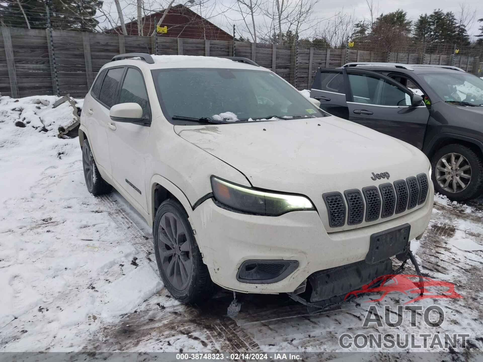 JEEP CHEROKEE 2019 - 1C4PJMDN9KD334144