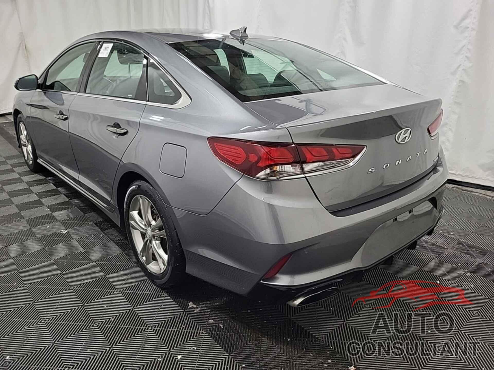 HYUNDAI SONATA 2019 - 5NPE34AF1KH762783