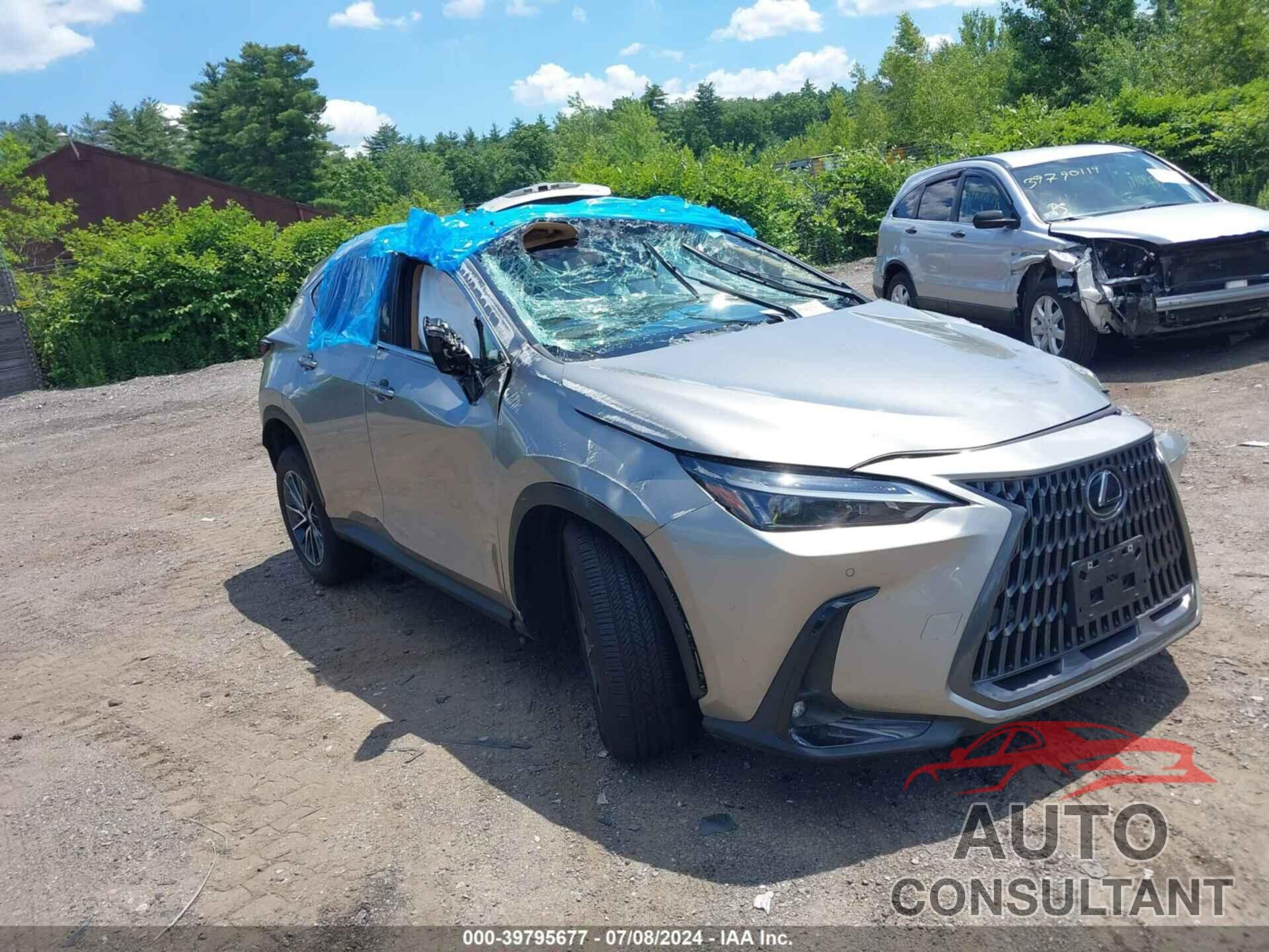 LEXUS NX 350 2024 - 2T2GGCEZ5RC049342