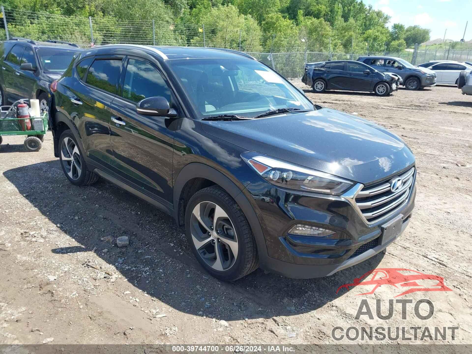 HYUNDAI TUCSON 2016 - KM8J33A24GU080446