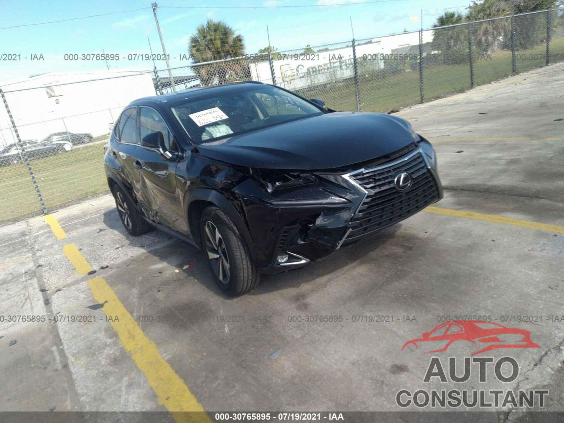 LEXUS NX 2019 - JTJYARBZ3K2151483