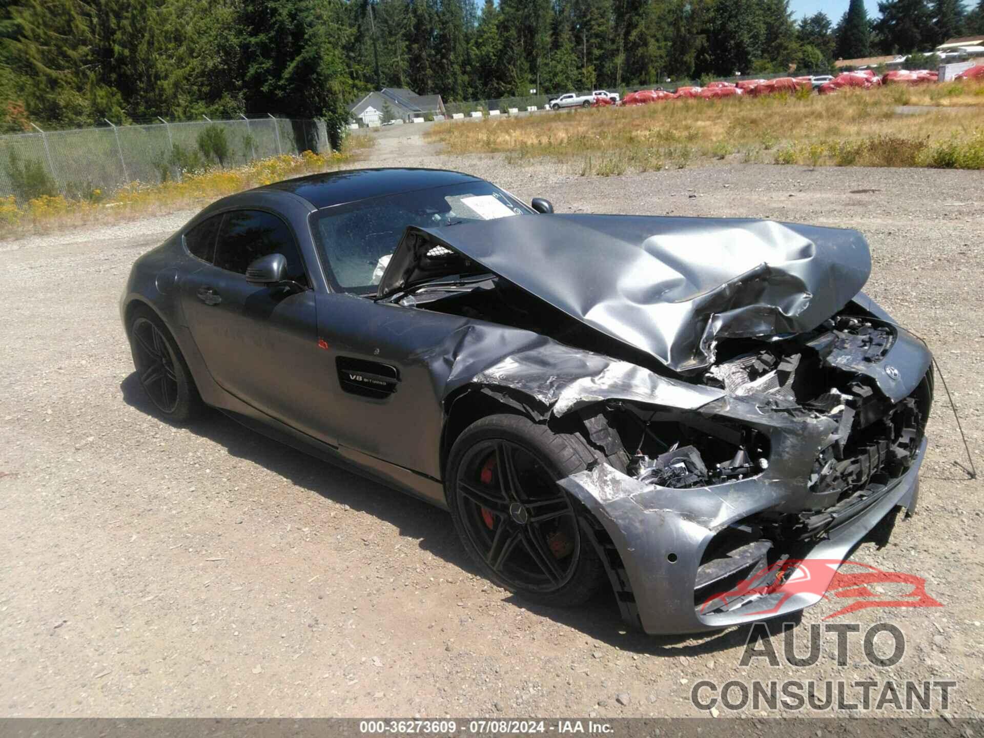 MERCEDES-BENZ AMG GT C 2019 - WDDYJ8AA1KA023313