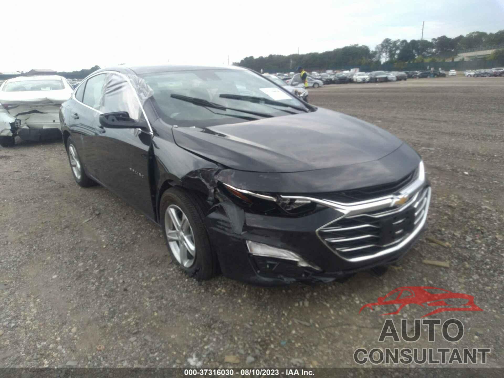 CHEVROLET MALIBU 2023 - 1G1ZD5ST7PF224351