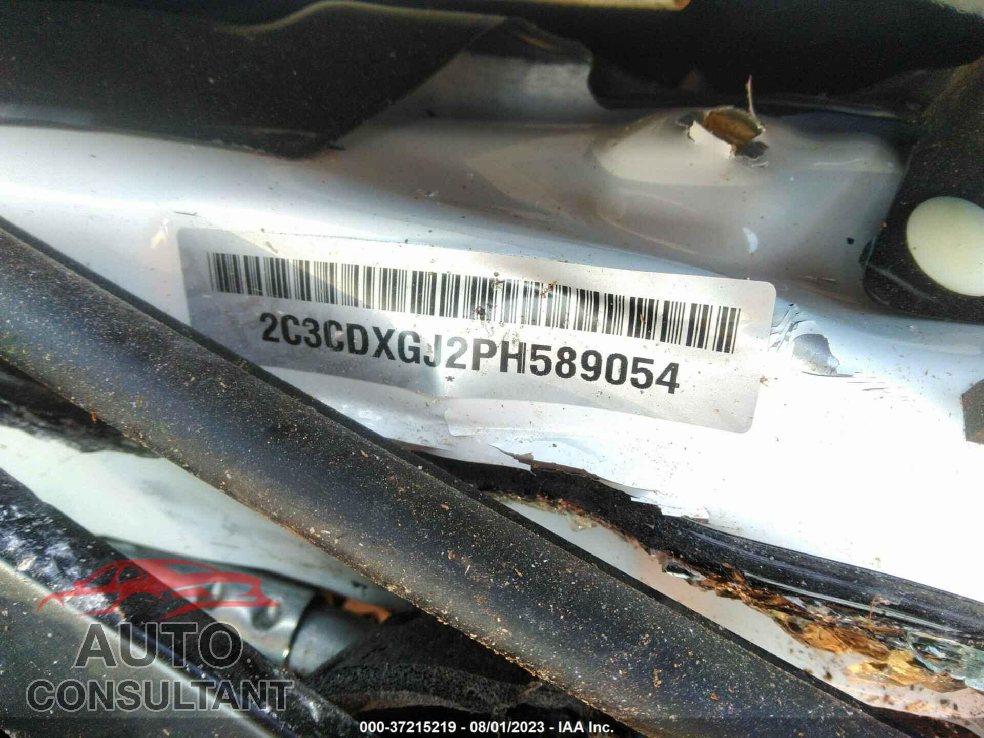DODGE CHARGER 2023 - 2C3CDXGJ2PH589054