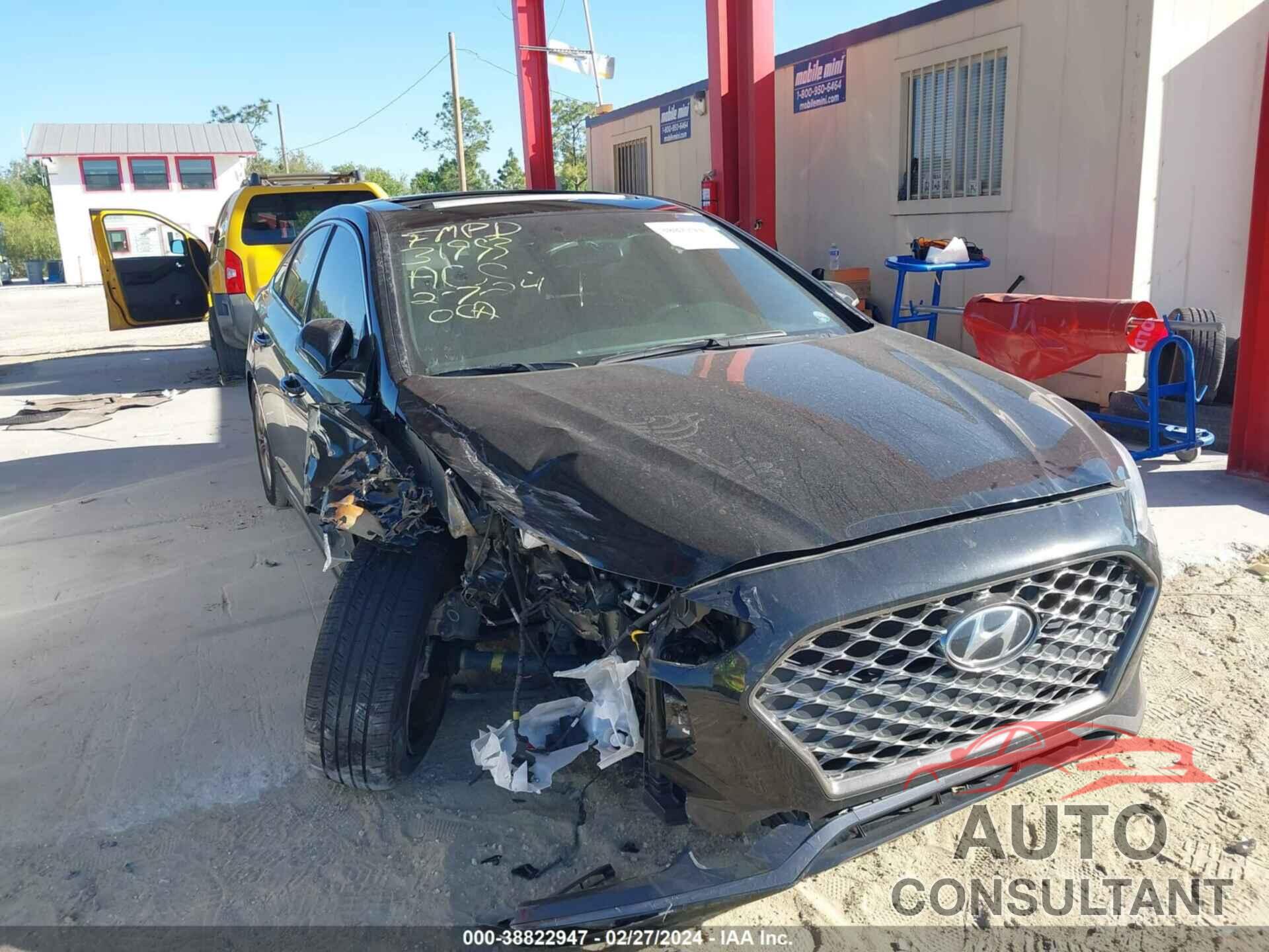 HYUNDAI SONATA 2019 - 5NPE34AF2KH816544