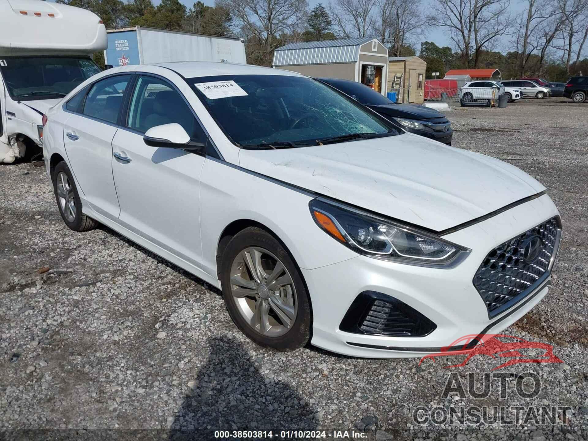 HYUNDAI SONATA 2019 - 5NPE34AF3KH789306