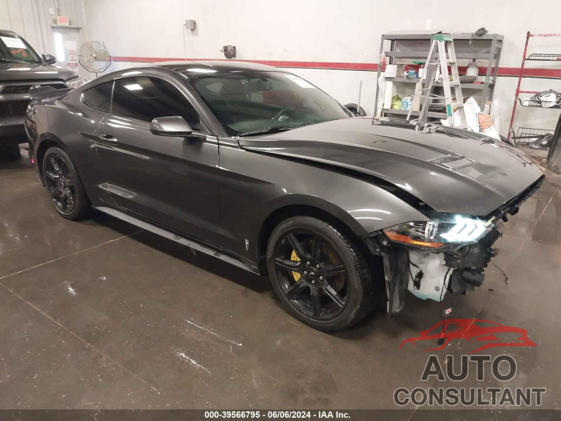 FORD MUSTANG 2019 - 1FA6P8TH8K5134692