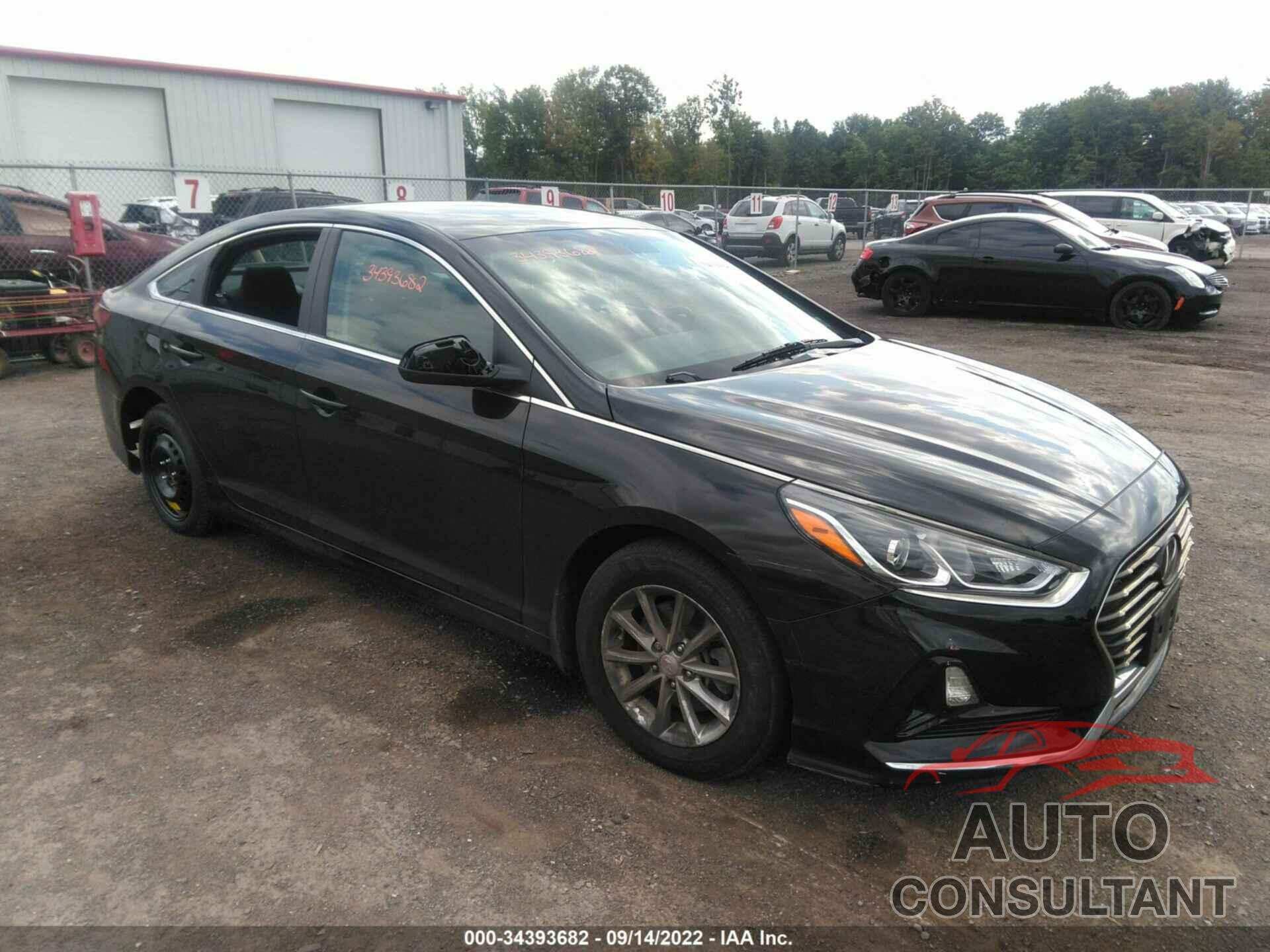 HYUNDAI SONATA 2019 - 5NPE24AF0KH797530