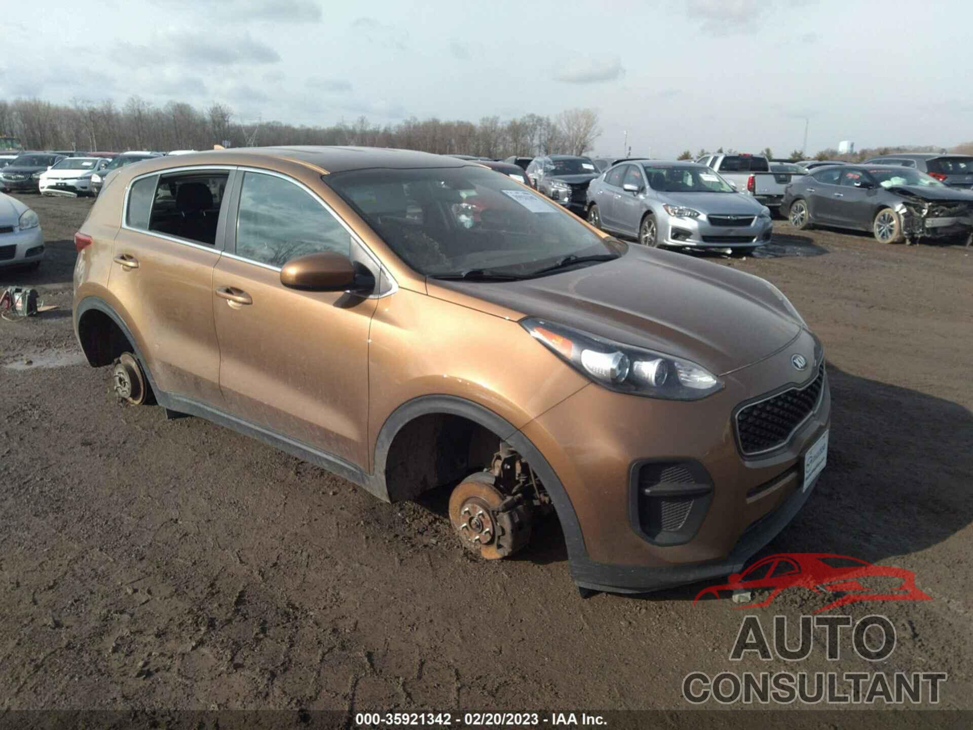 KIA SPORTAGE 2017 - KNDPM3AC9H7123764
