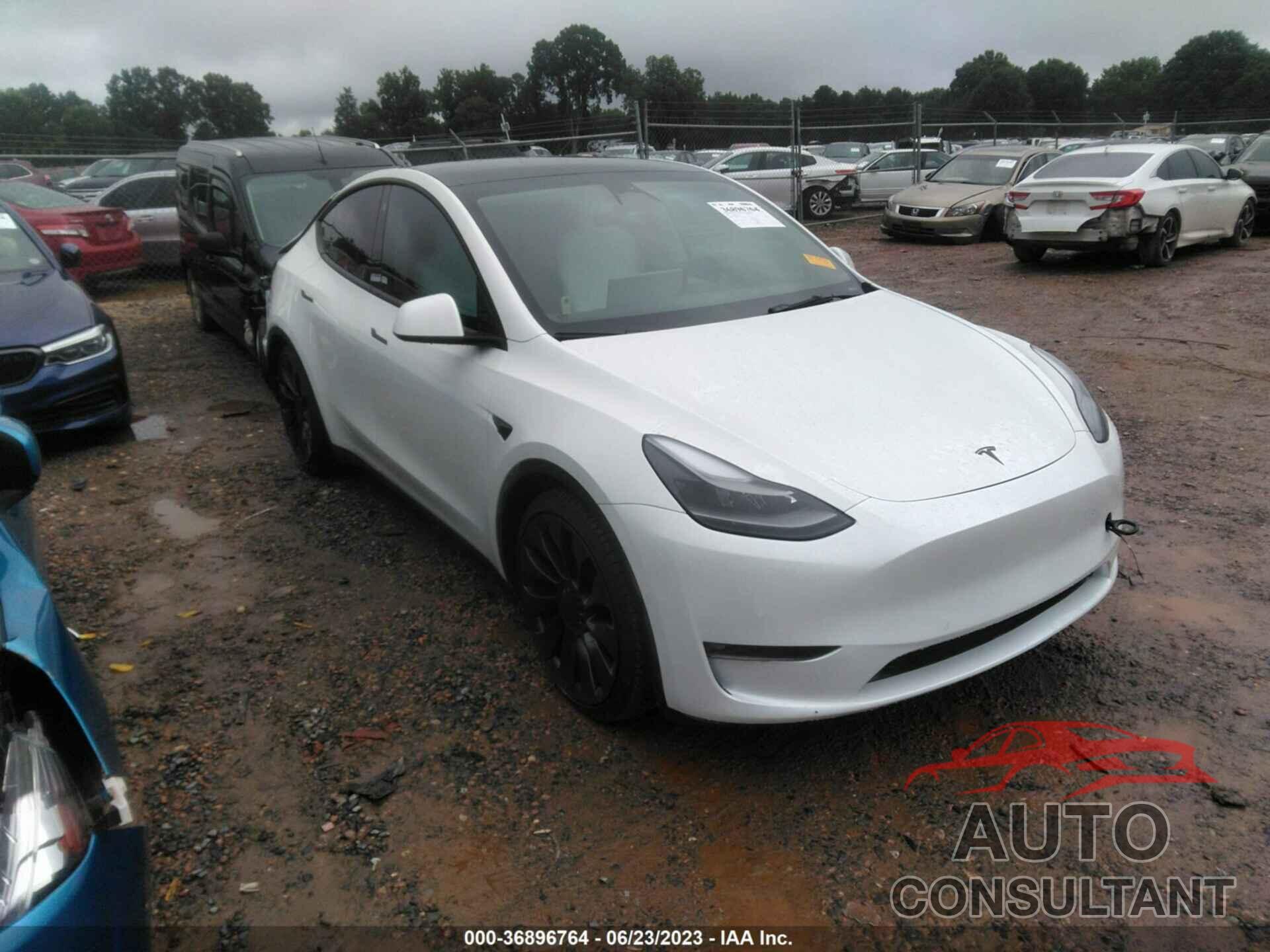 TESLA MODEL Y 2022 - 7SAYGDEF4NF516330