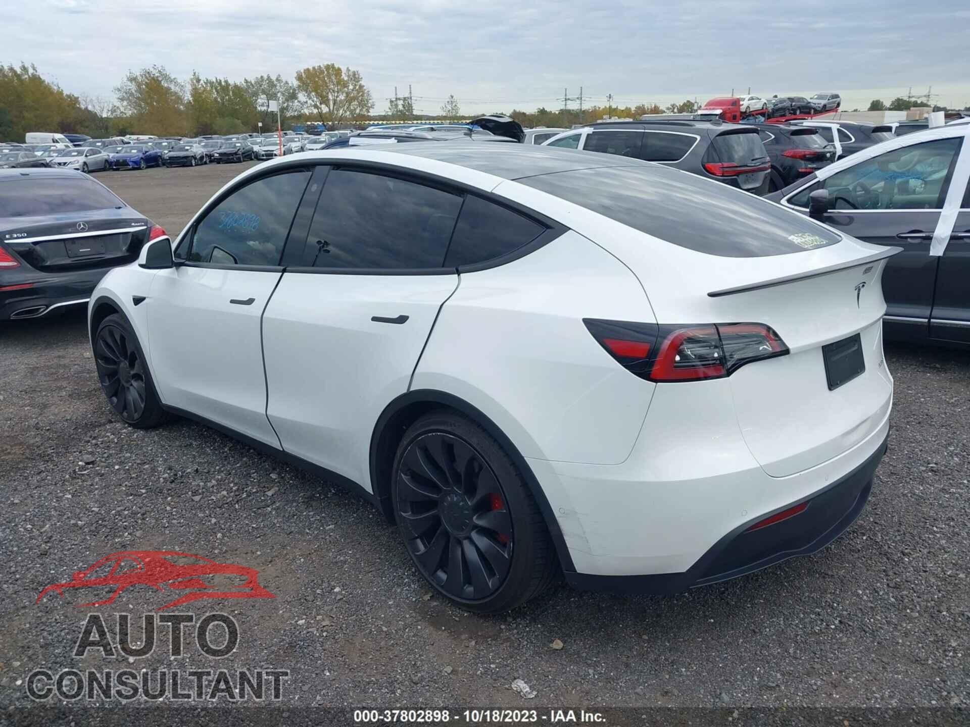 TESLA MODEL Y 2022 - 7SAYGDEF9NF413405