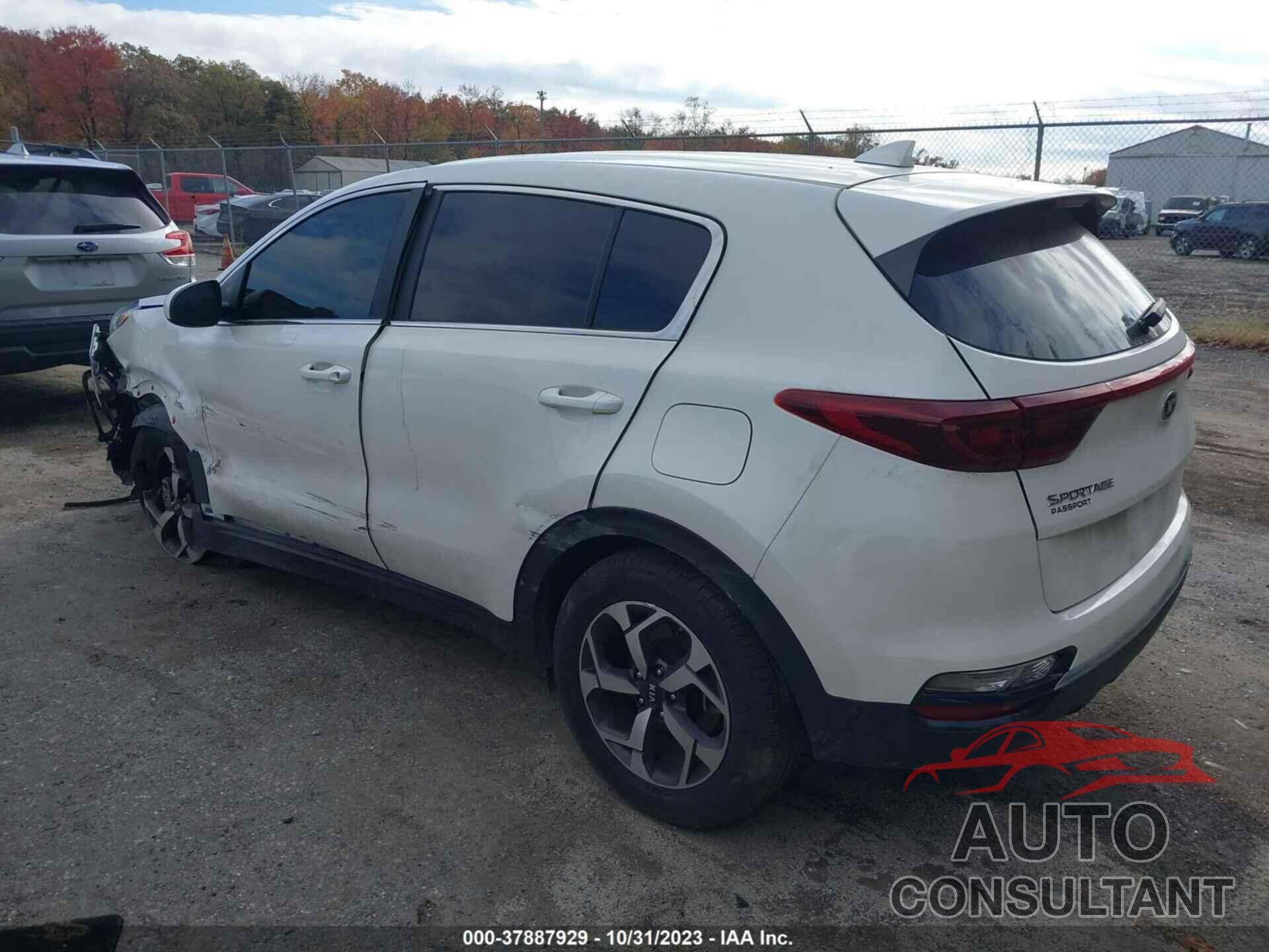 KIA SPORTAGE 2022 - KNDPM3AC6N7951654