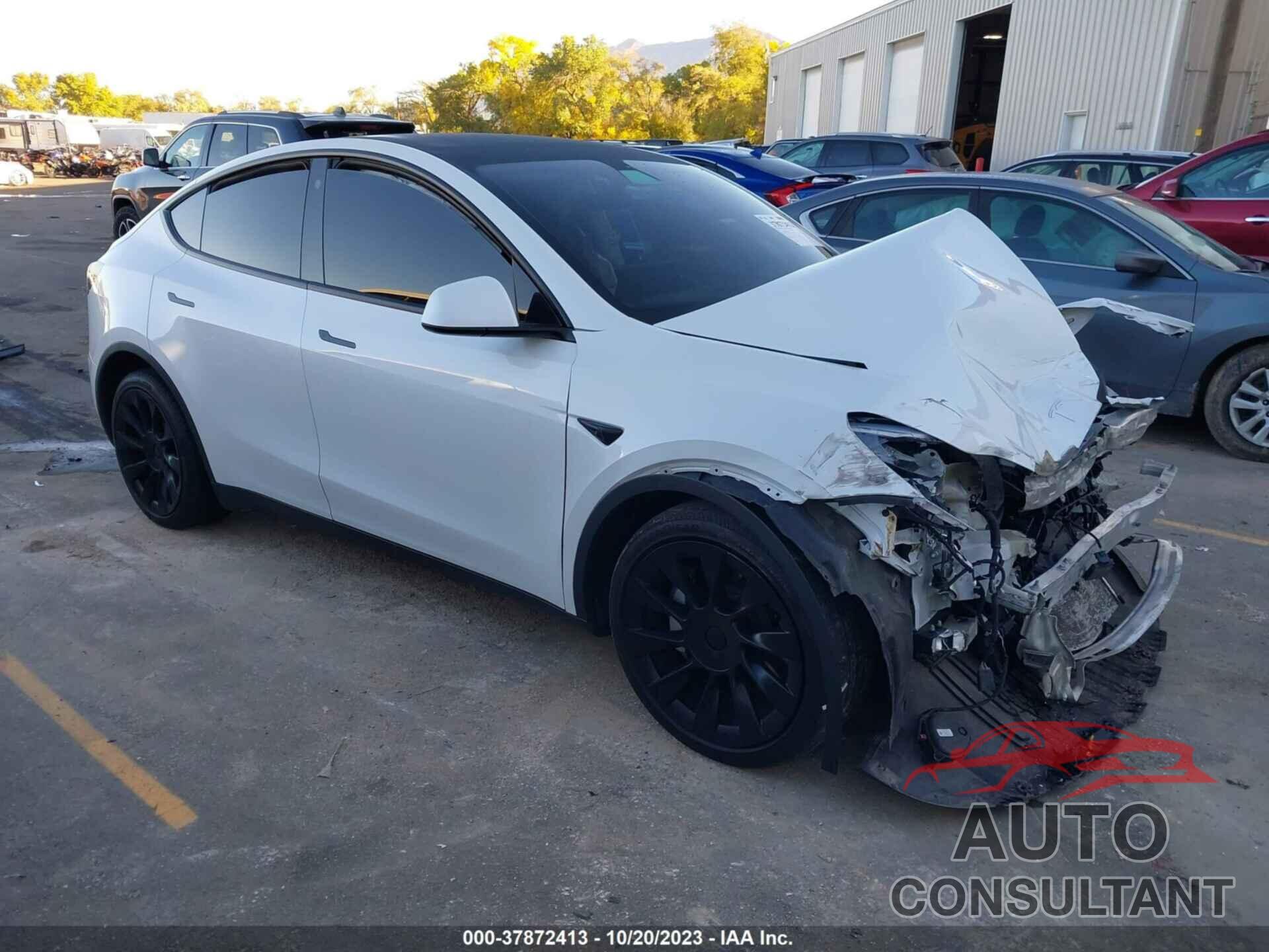 TESLA MODEL Y 2021 - 5YJYGDEE0MF138946