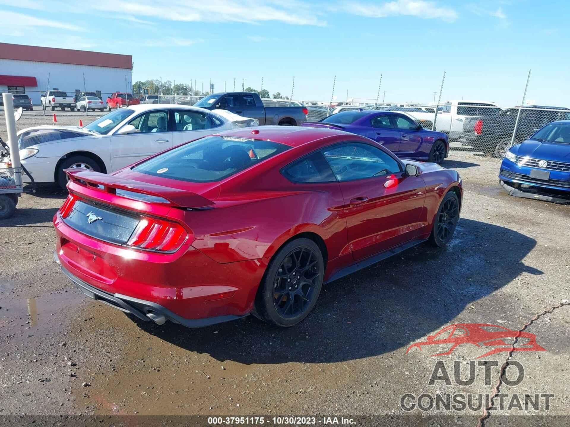 FORD MUSTANG 2019 - 1FA6P8TH4K5129439