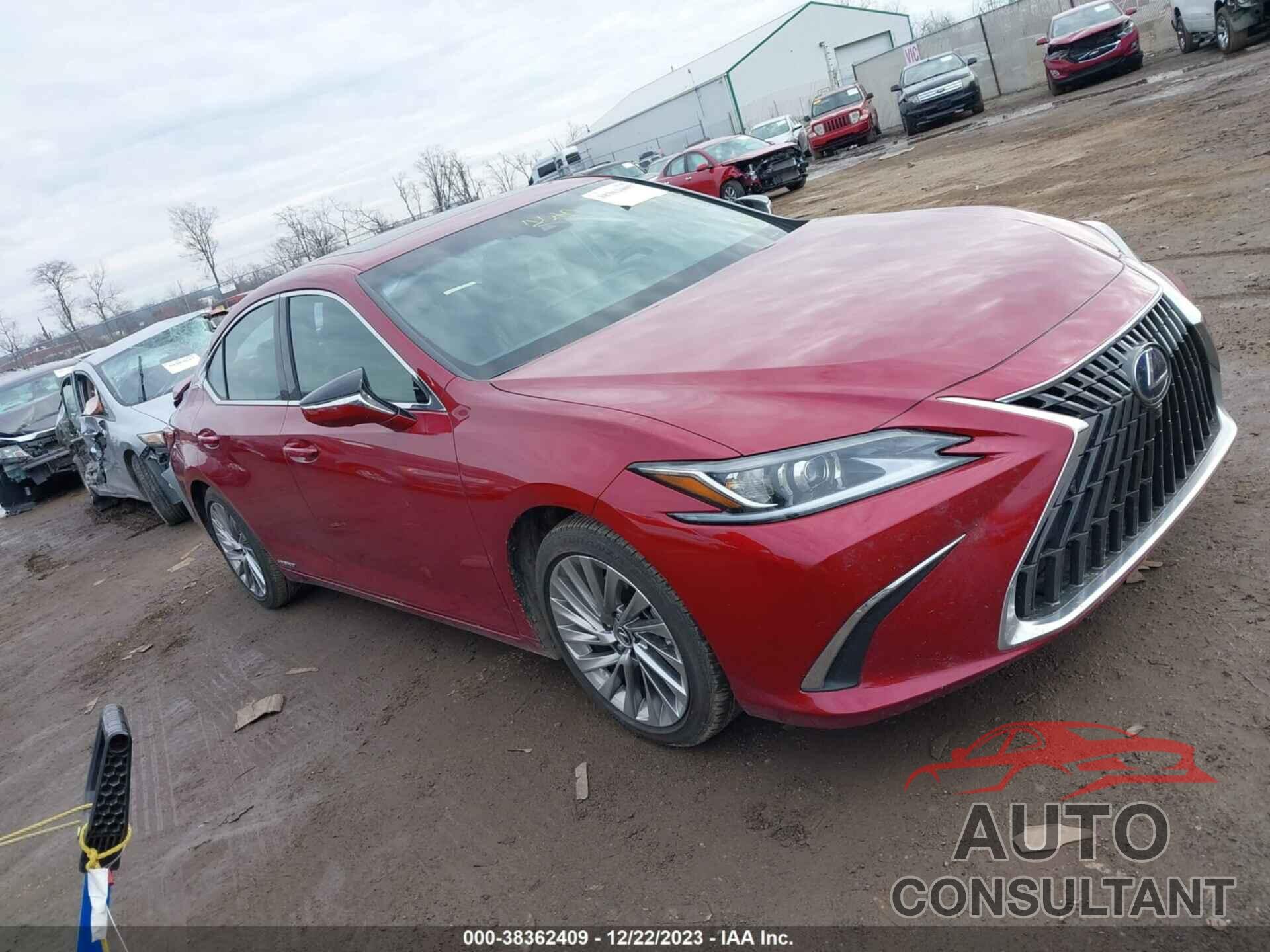 LEXUS ES 300H 2022 - 58AEA1C13NU019319