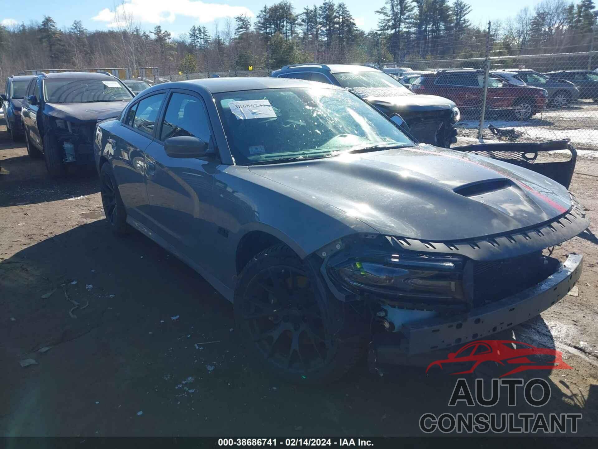 DODGE CHARGER 2019 - 2C3CDXGJ9KH661604