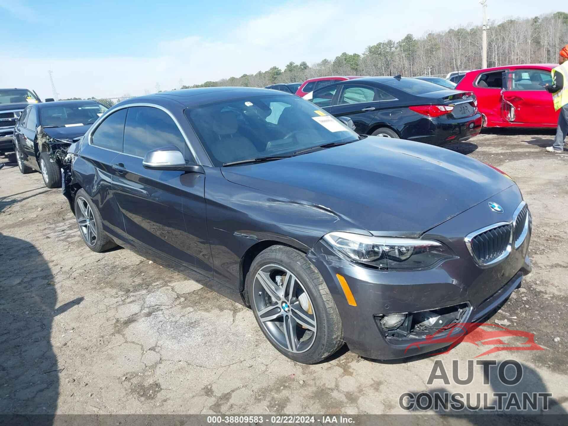 BMW 230I 2017 - WBA2F9C55HV664180