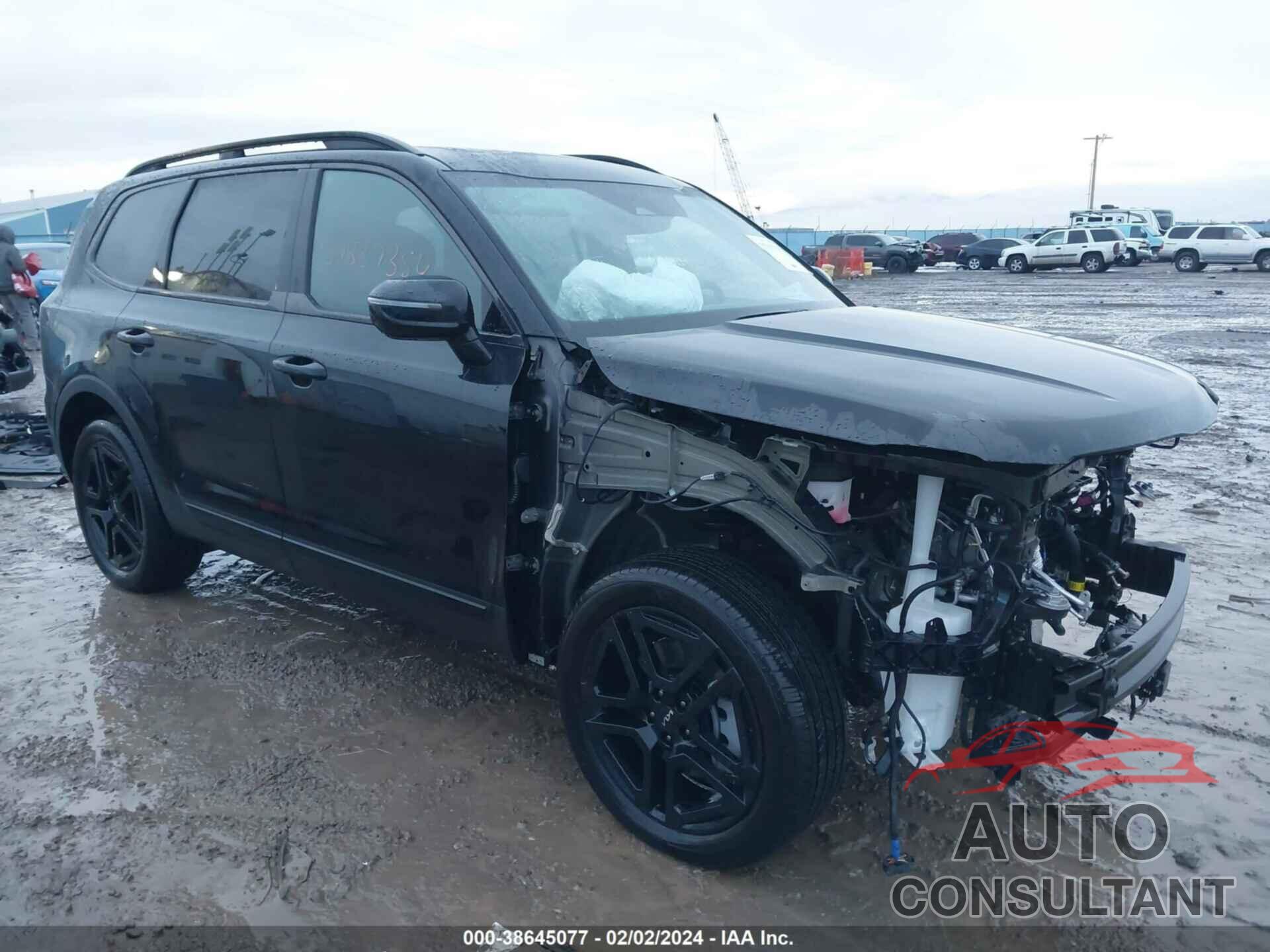 KIA TELLURIDE 2024 - 5XYP5DGC0RG413504