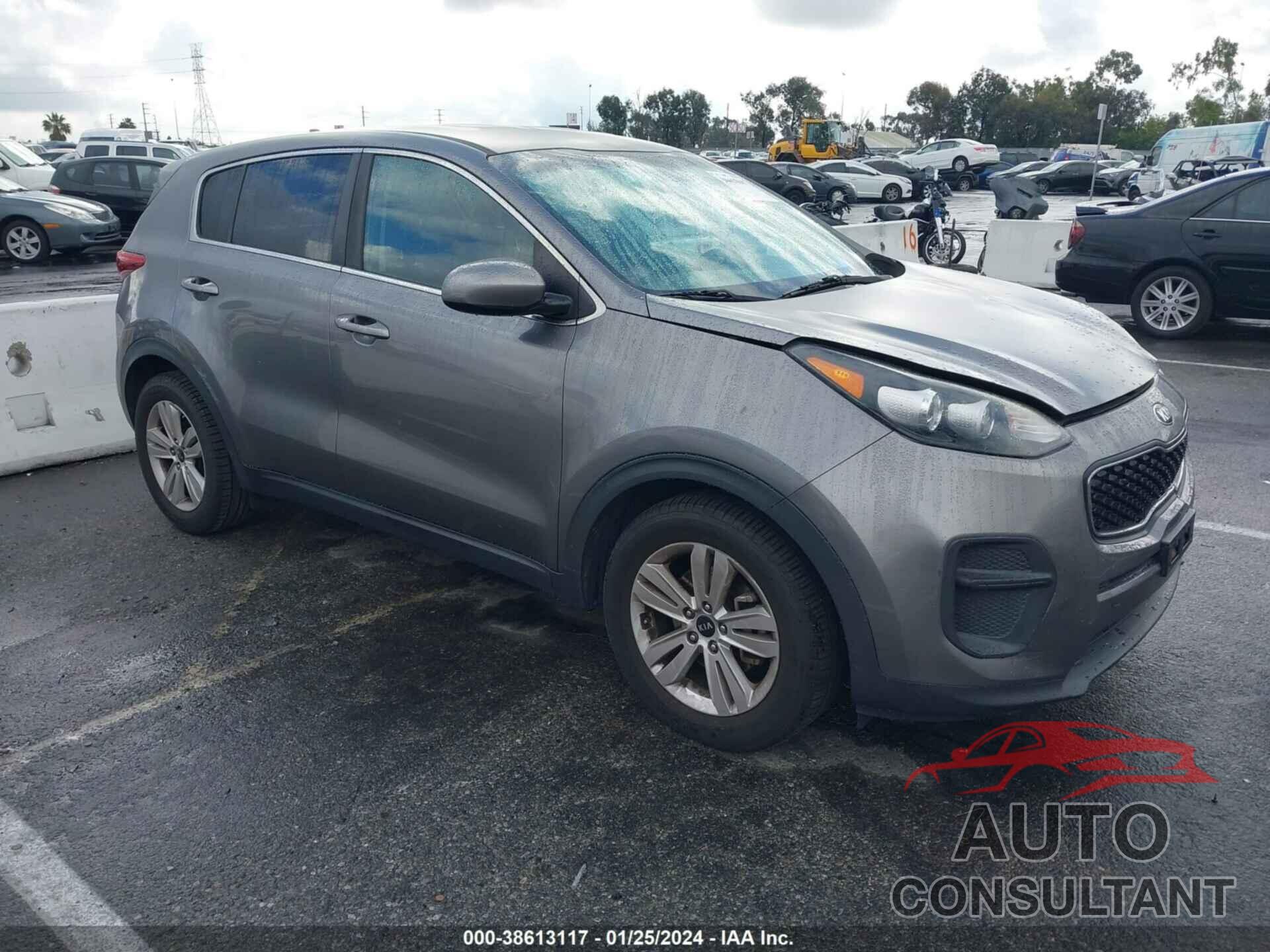 KIA SPORTAGE 2017 - KNDPM3AC8H7087159