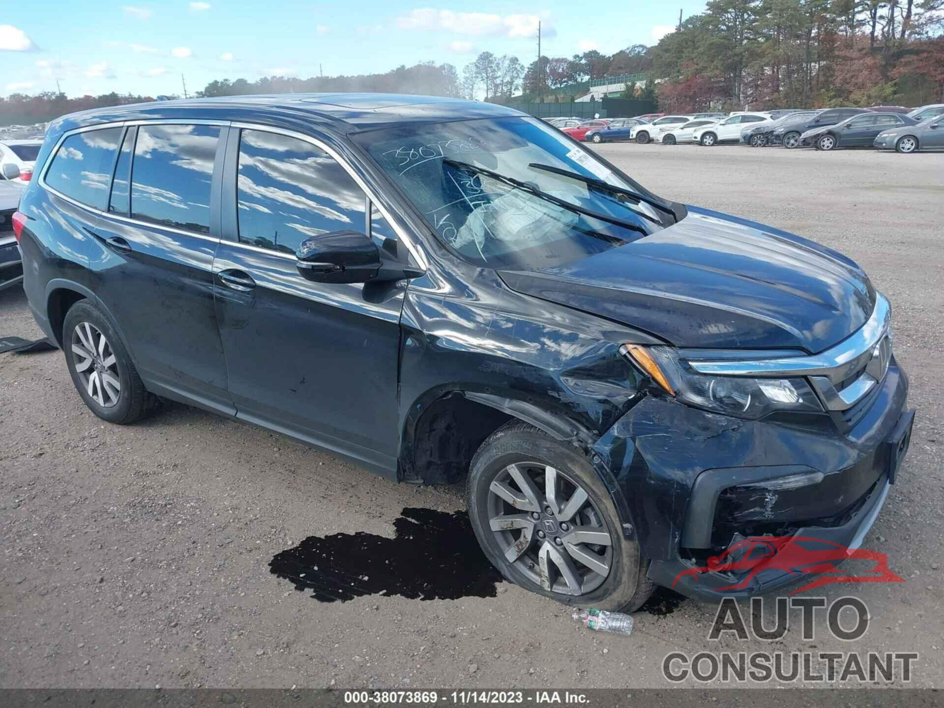 HONDA PILOT 2019 - 5FNYF6H5XKB096423