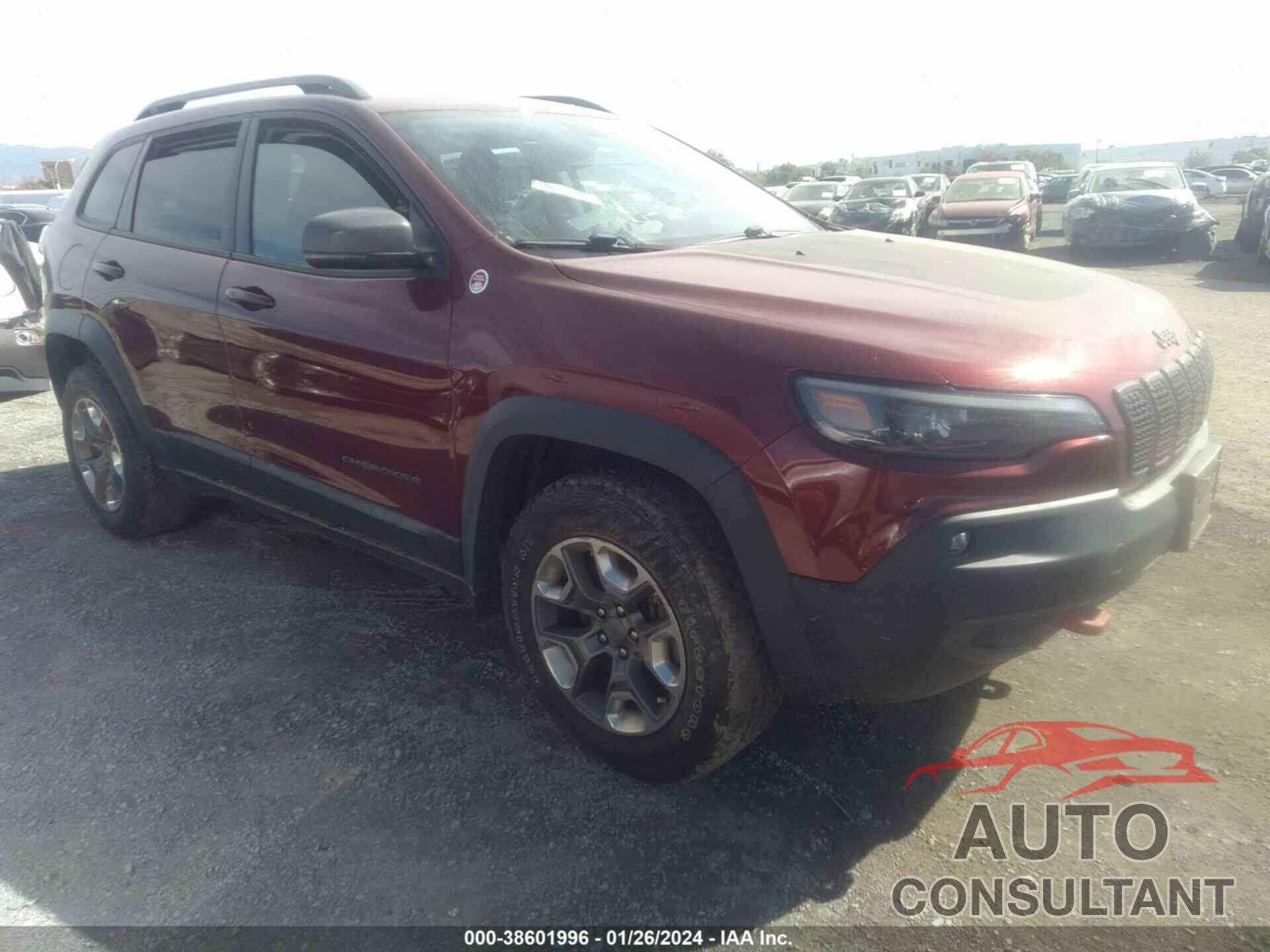 JEEP CHEROKEE 2019 - 1C4PJMBX4KD463414