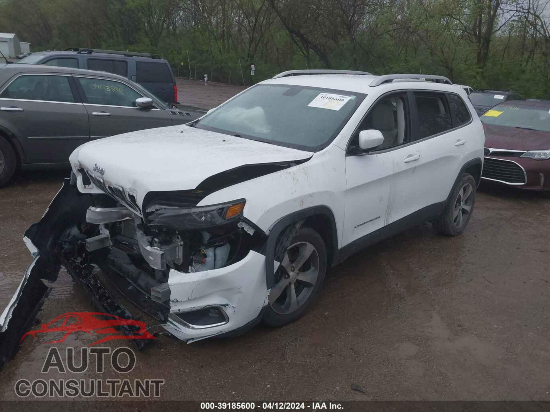 JEEP CHEROKEE 2020 - 1C4PJLDB8LD600030