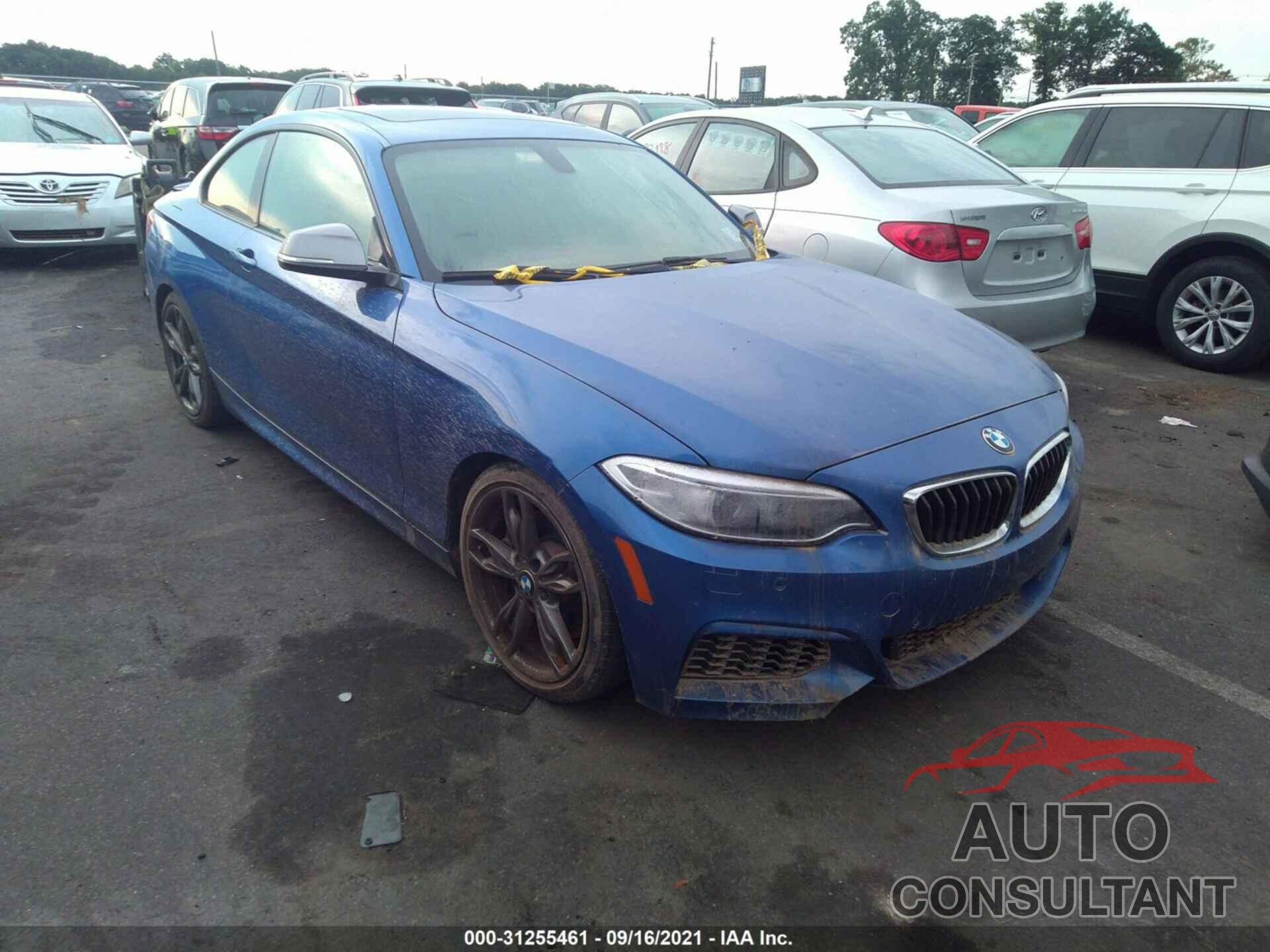 BMW 2 SERIES 2016 - WBA1J9C53GV695856