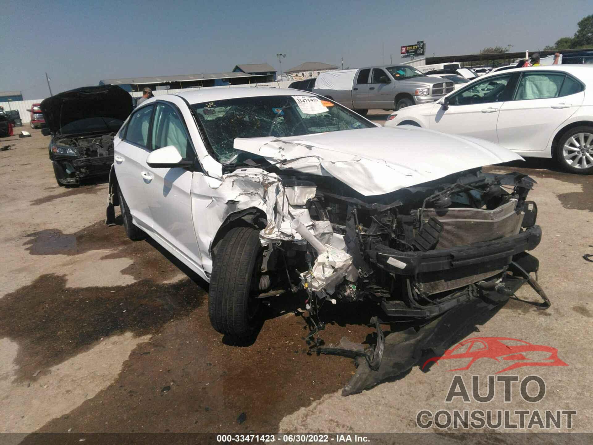 HYUNDAI SONATA 2019 - 5NPE24AF4KH769567