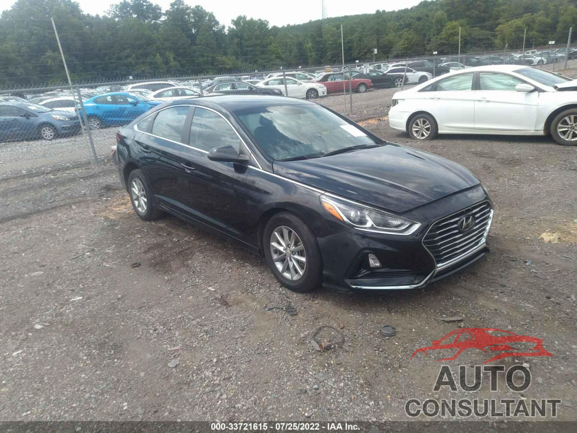 HYUNDAI SONATA 2019 - 5NPE24AF4KH736407
