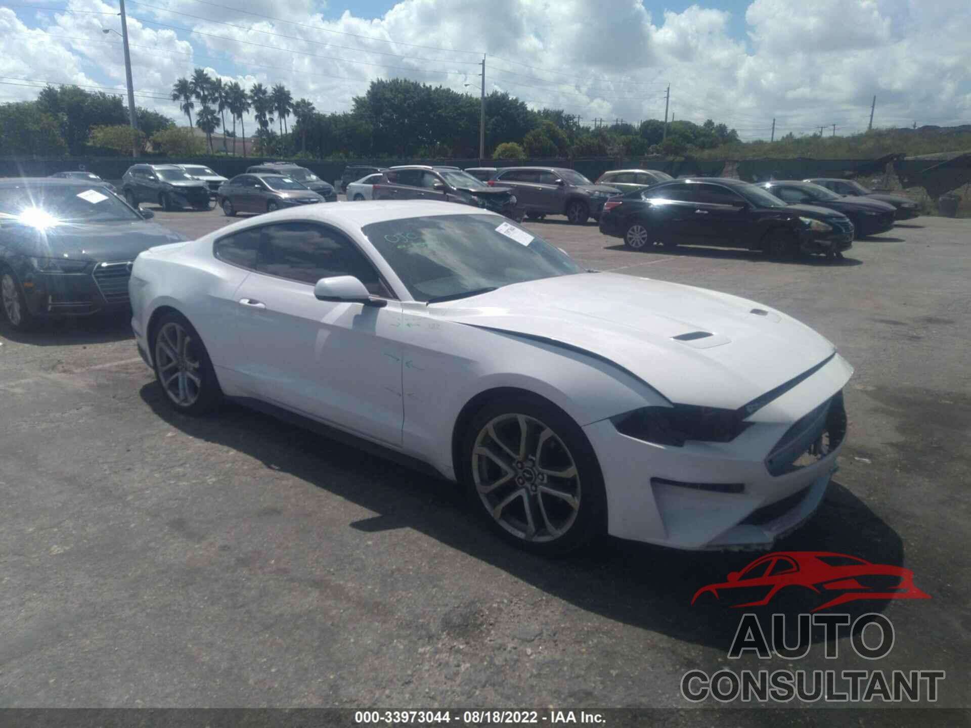 FORD MUSTANG 2019 - 1FA6P8TH0K5132855