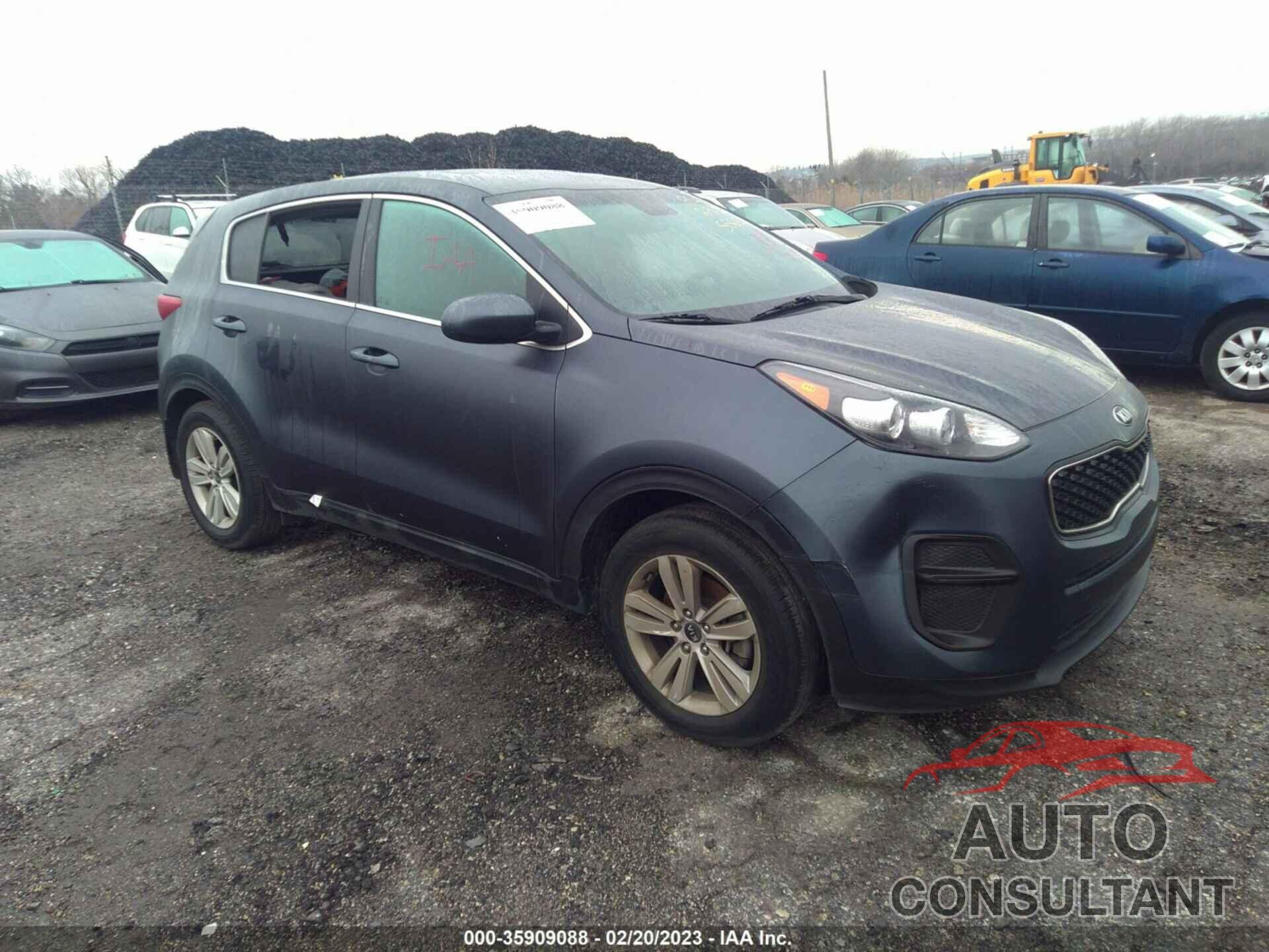 KIA SPORTAGE 2019 - KNDPM3AC1K7556504