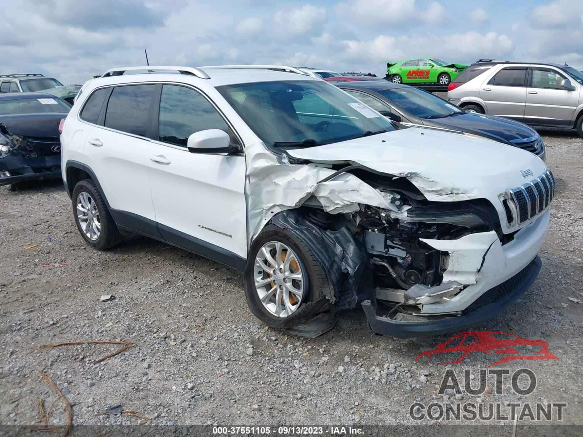 JEEP CHEROKEE 2019 - 1C4PJLCB8KD312637