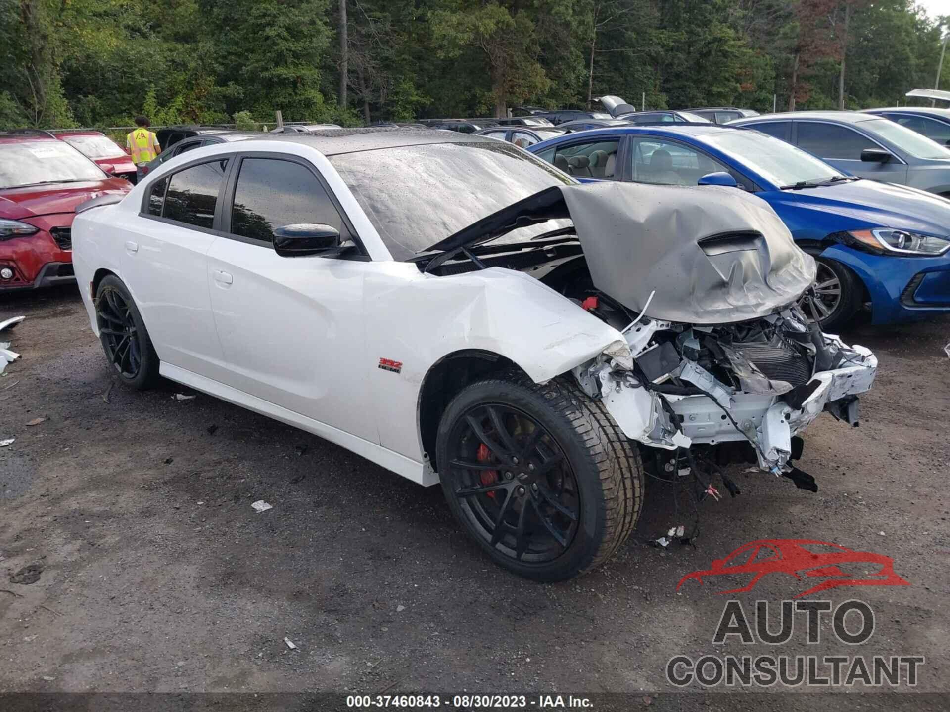 DODGE CHARGER 2023 - 2C3CDXGJ5PH503493