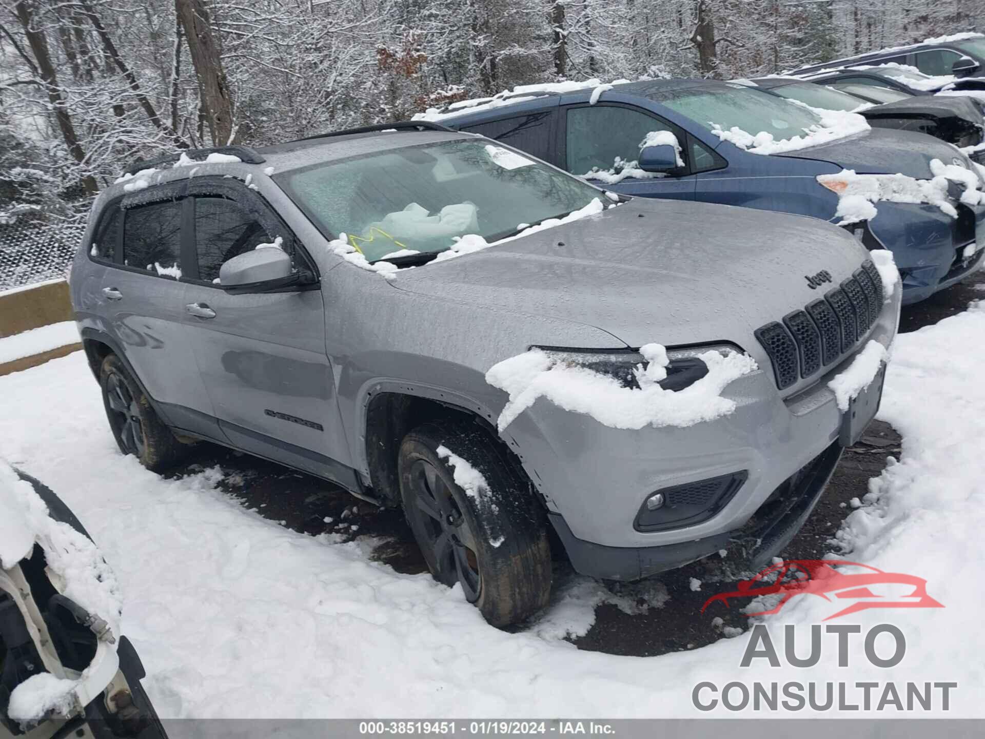 JEEP CHEROKEE 2020 - 1C4PJMLX2LD519981