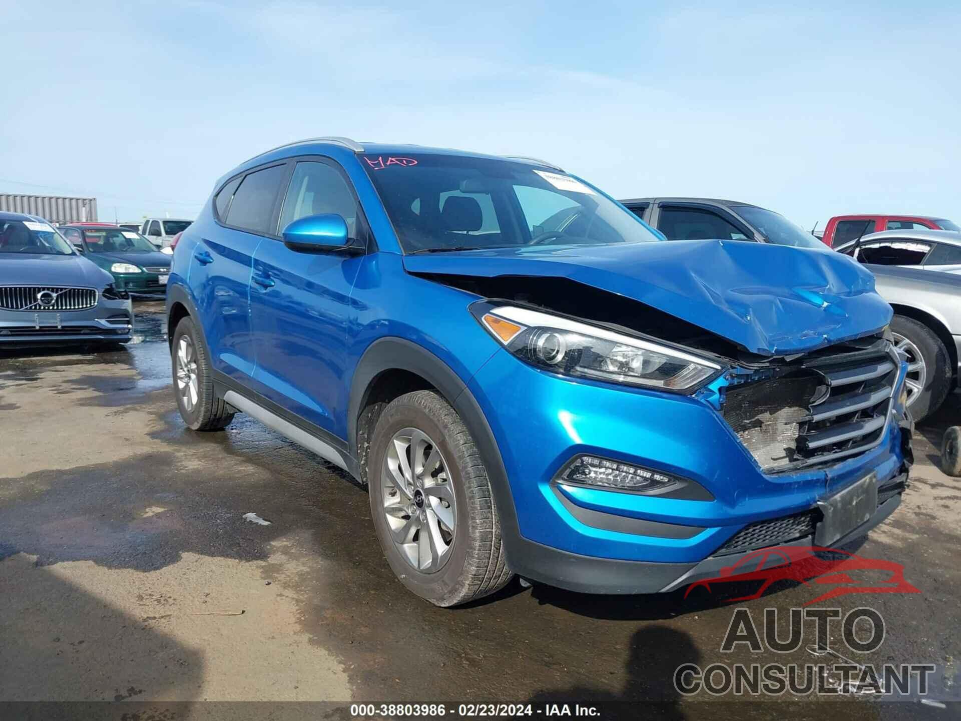 HYUNDAI TUCSON 2017 - KM8J33A43HU481800