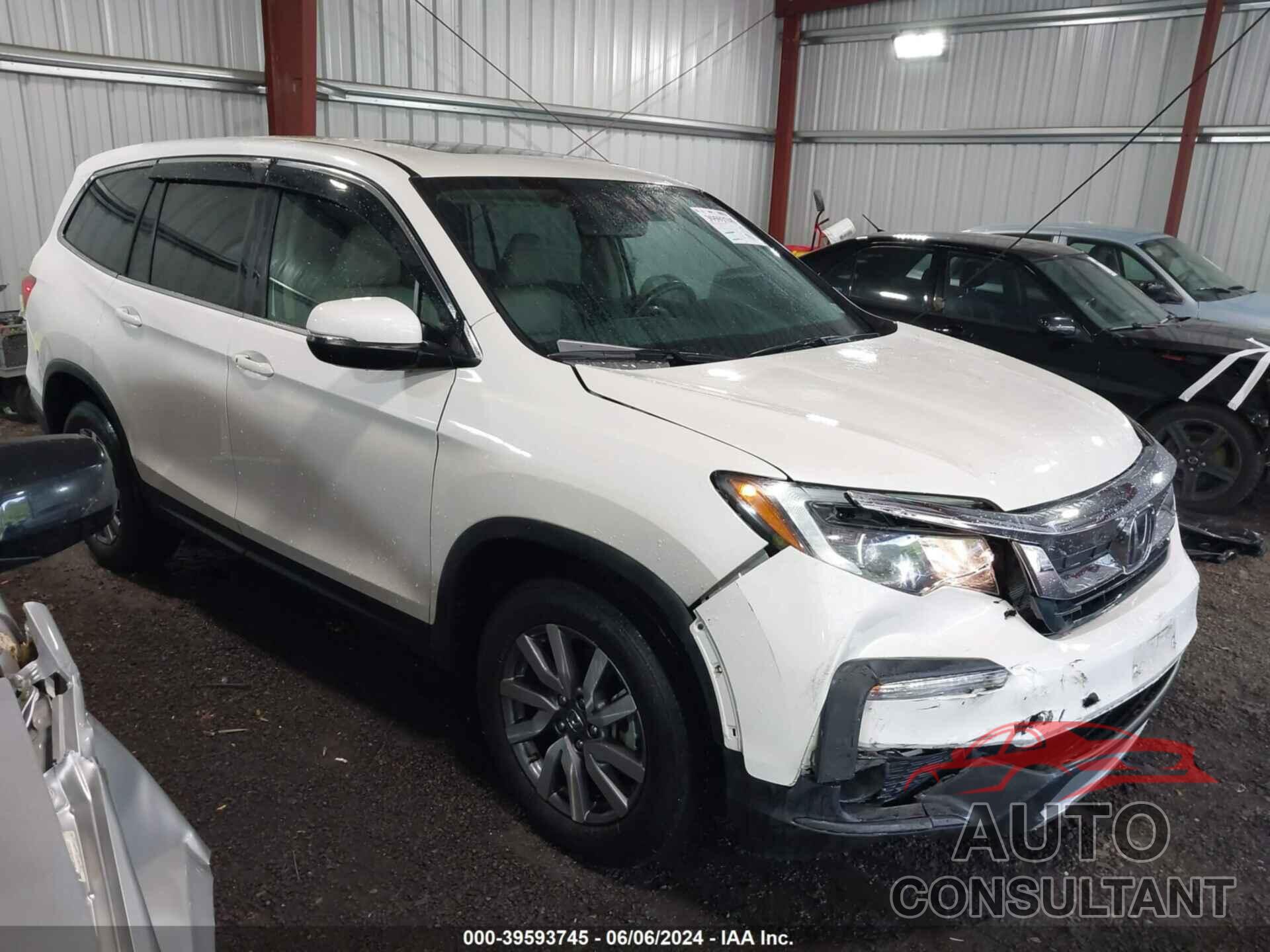 HONDA PILOT 2019 - 5FNYF6H5XKB055287