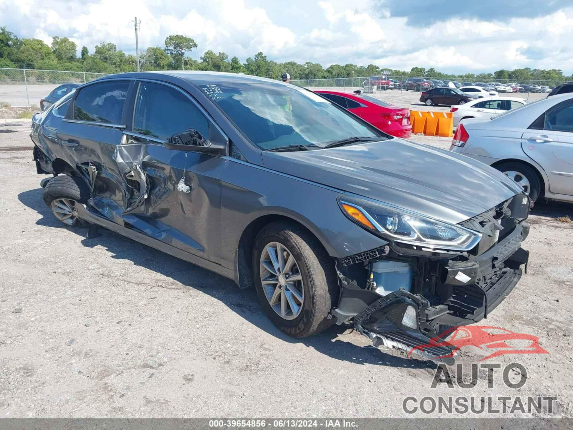 HYUNDAI SONATA 2019 - 5NPE24AF5KH803581