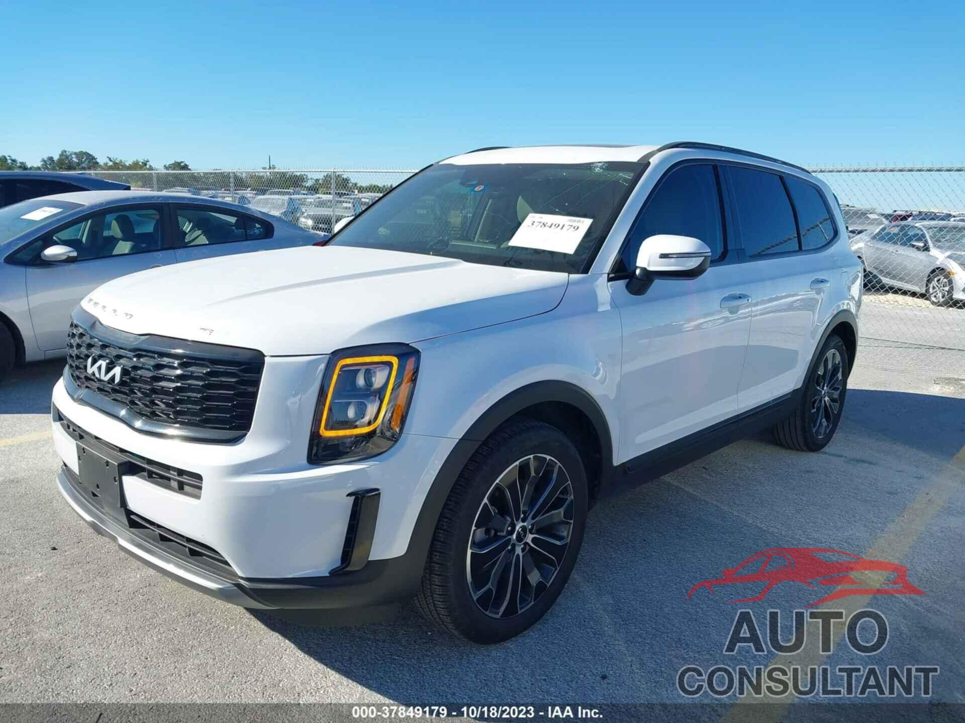 KIA TELLURIDE 2022 - 5XYP34HC8NG243567