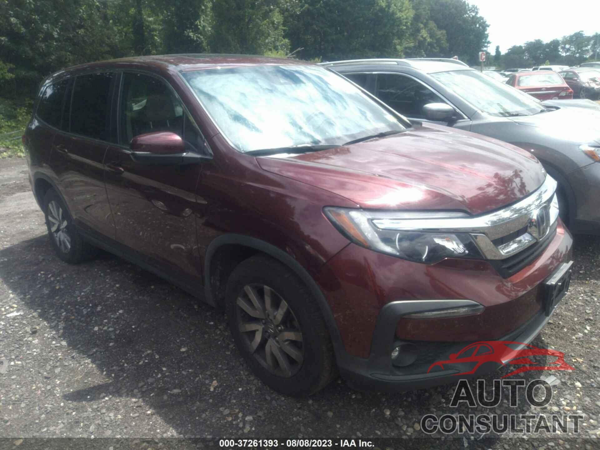HONDA PILOT 2019 - 5FNYF6H57KB024319
