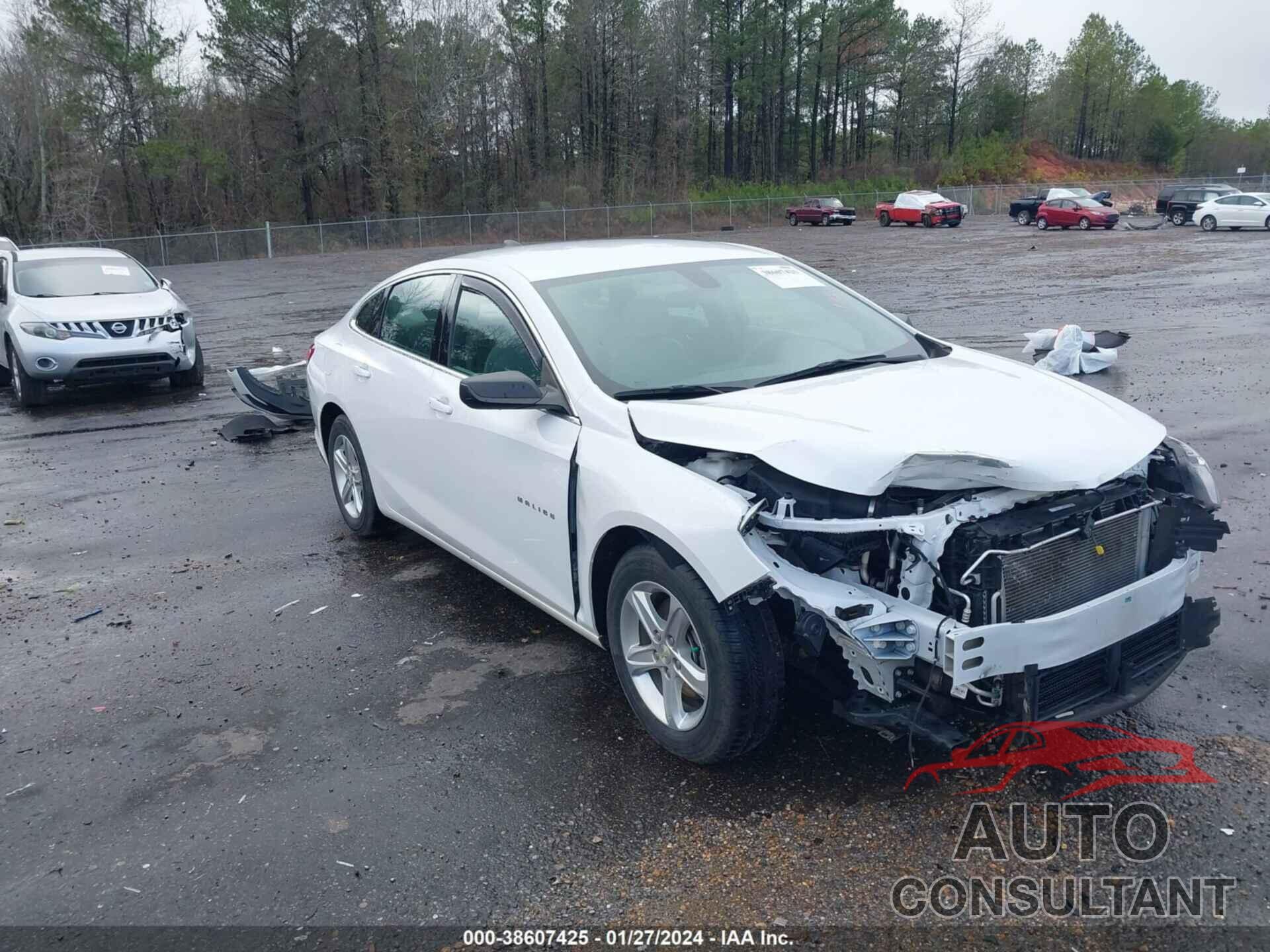 CHEVROLET MALIBU 2019 - 1G1ZB5ST9KF143740