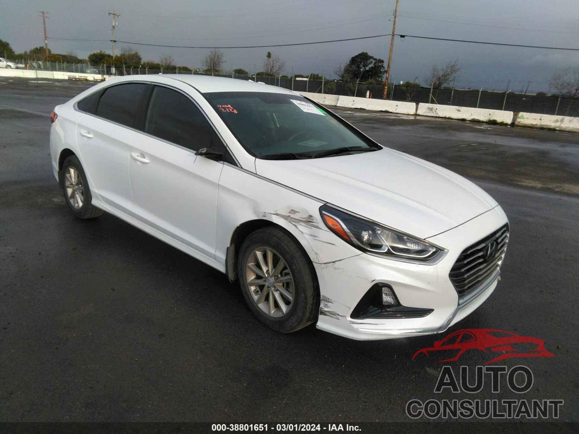 HYUNDAI SONATA 2019 - 5NPE24AF5KH819103