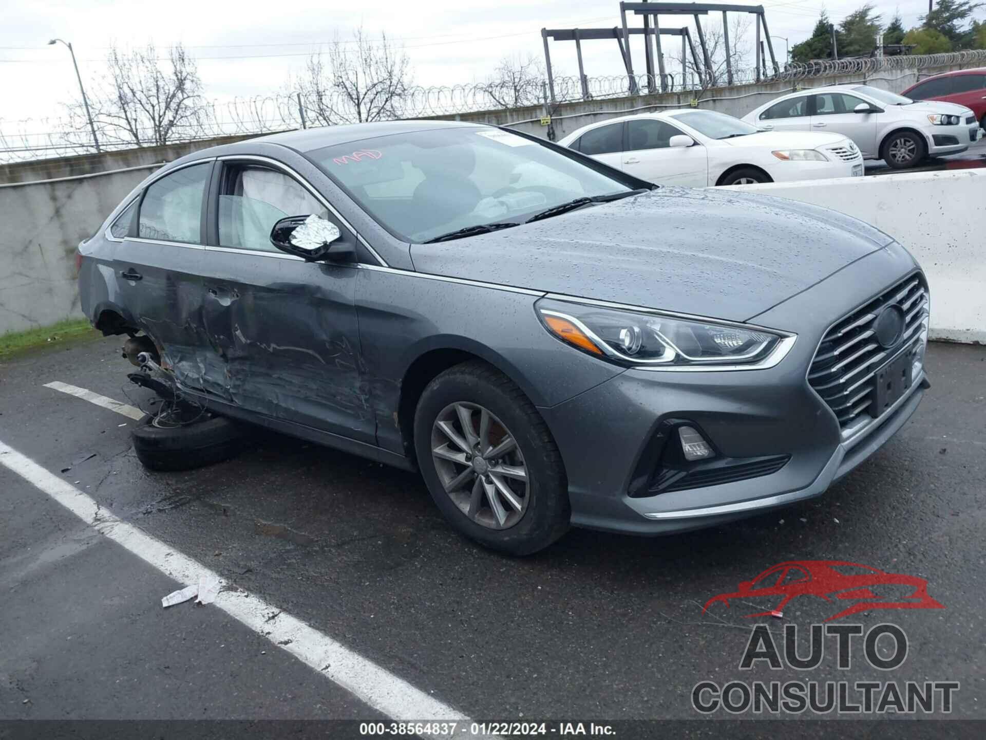 HYUNDAI SONATA 2019 - 5NPE24AFXKH730899
