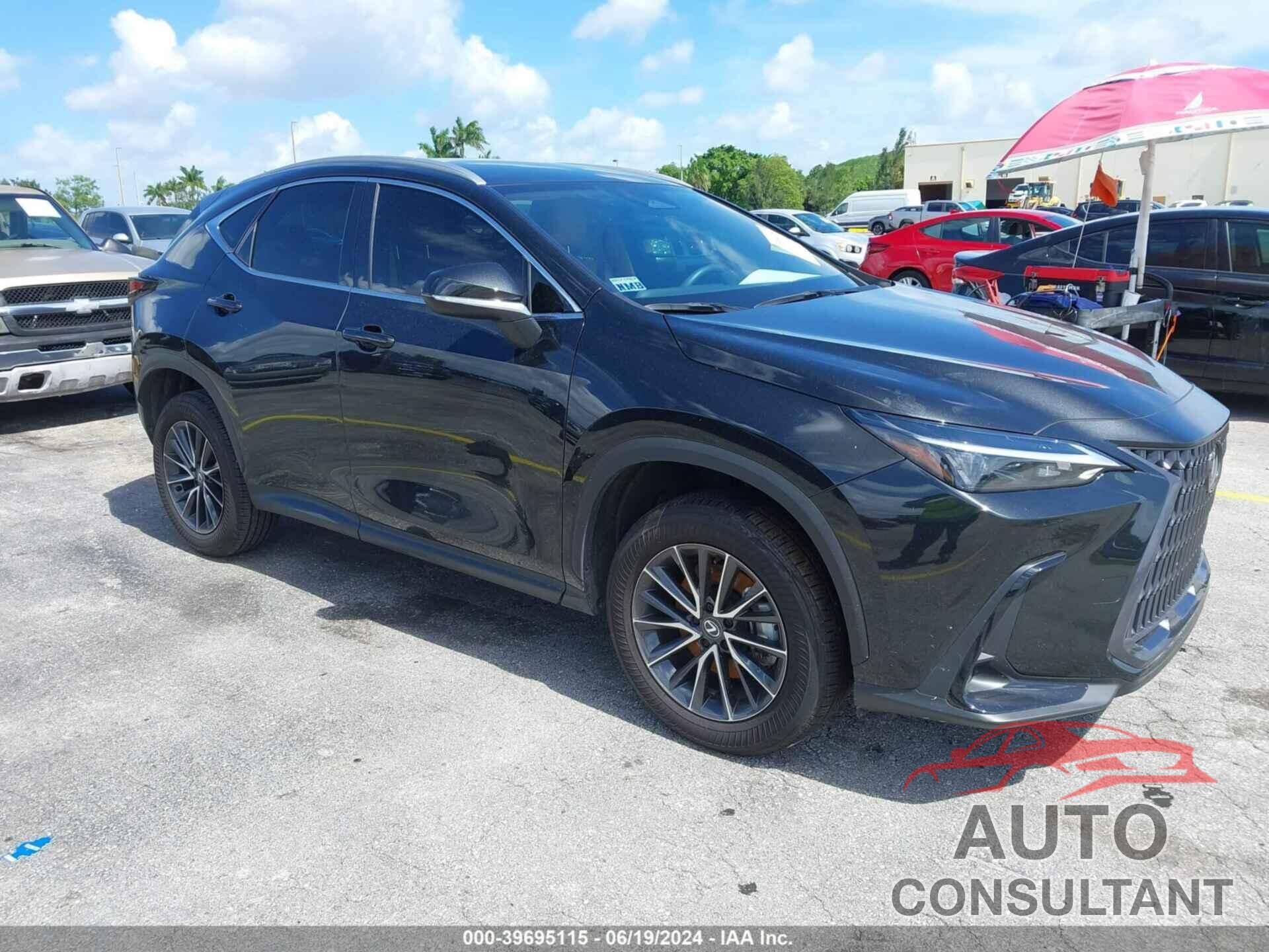 LEXUS NX 250 2024 - 2T2ADCAZ4RC006423