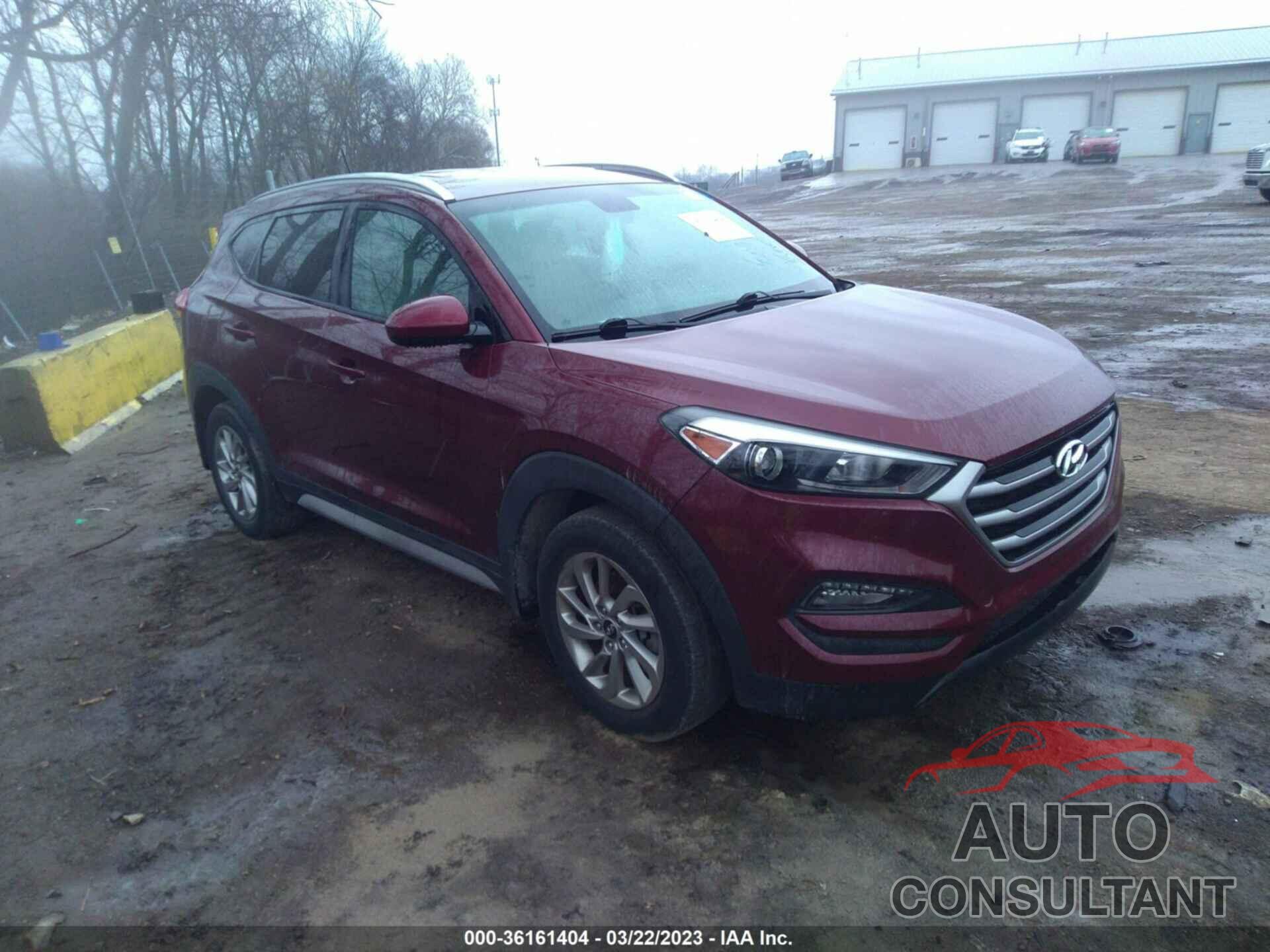 HYUNDAI TUCSON 2017 - KM8J33A46HU596231