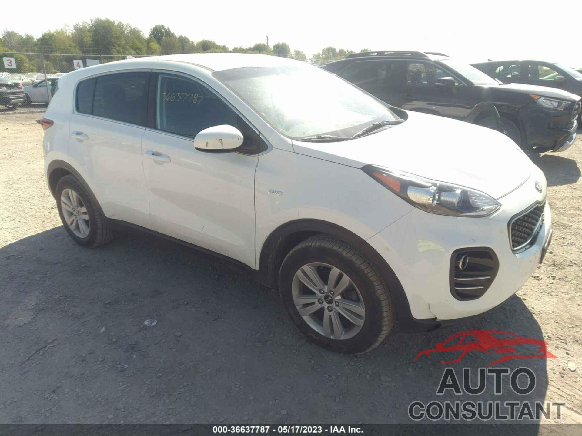 KIA SPORTAGE 2019 - KNDPMCAC4K7491812